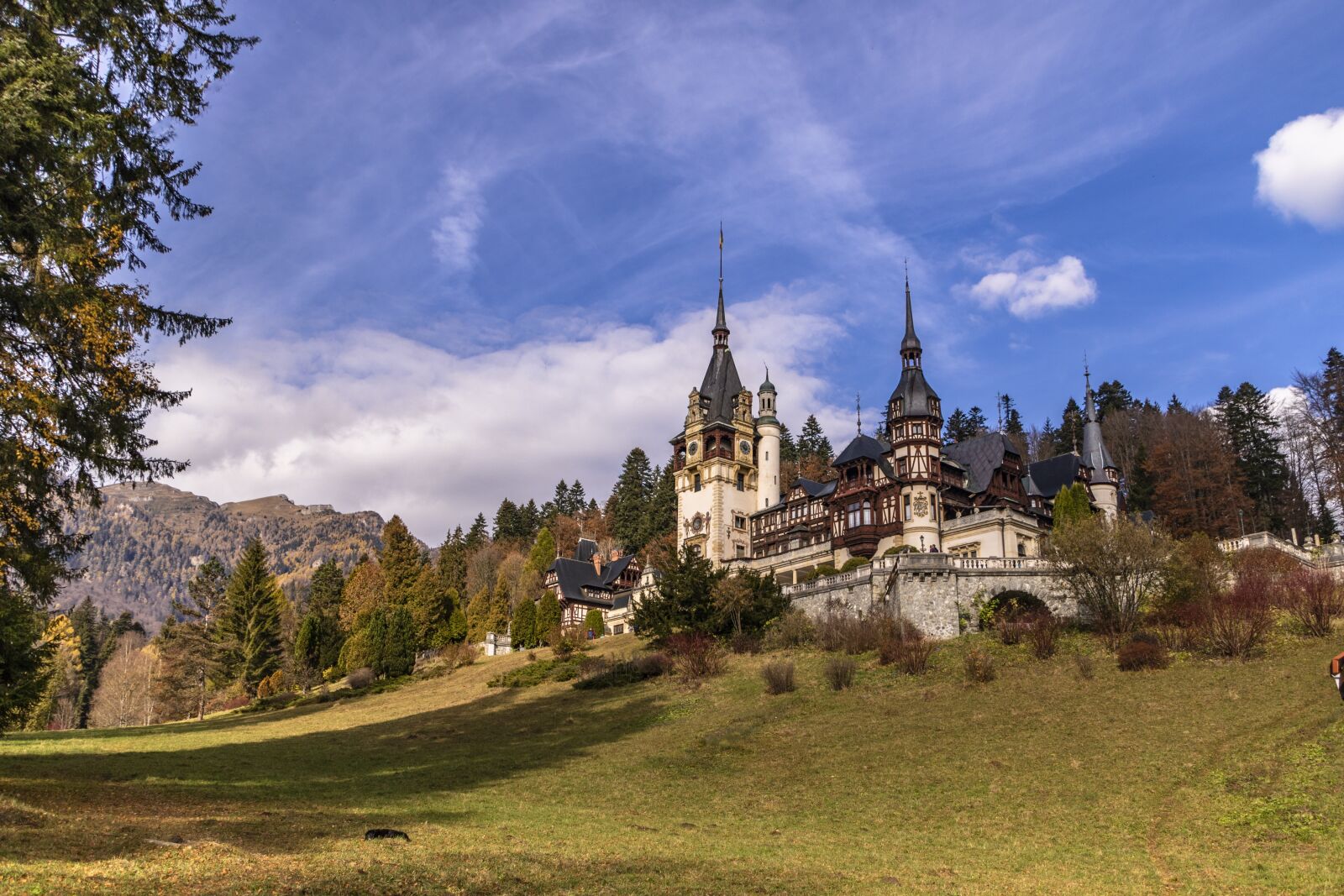 Canon EOS 750D (EOS Rebel T6i / EOS Kiss X8i) sample photo. Castle, peles, romania photography
