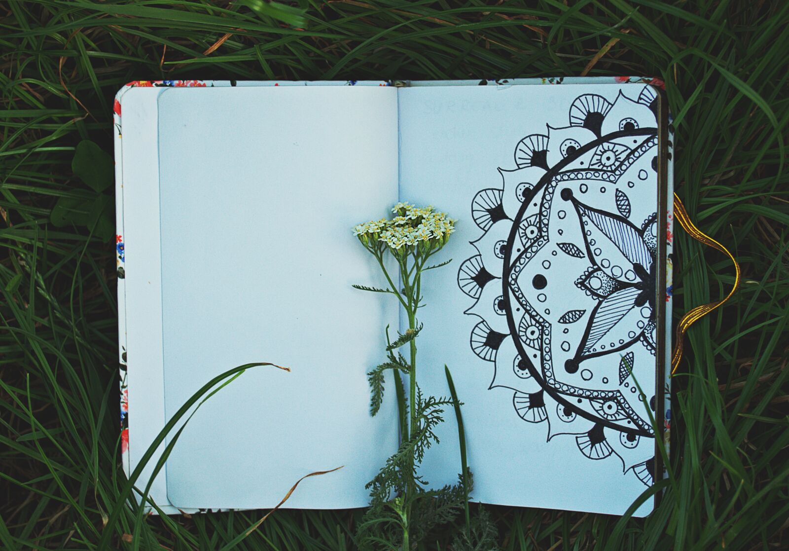Nikon D3400 sample photo. Mandala, drawing, flower photography