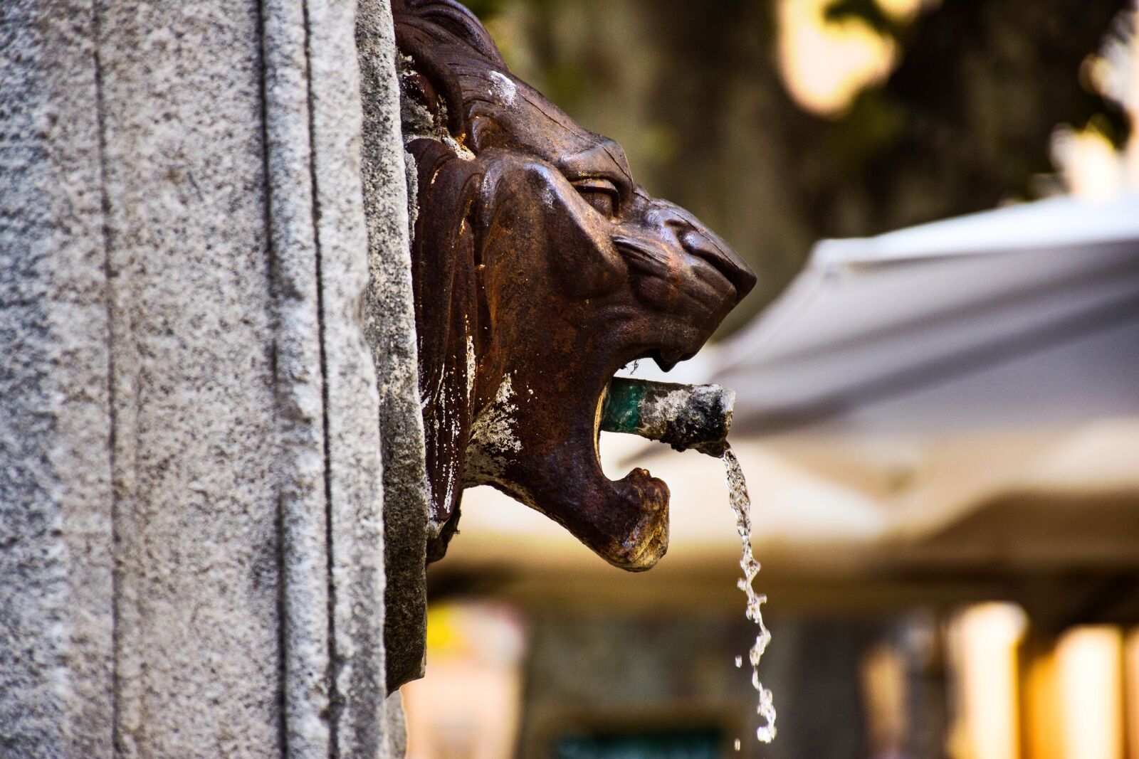 Nikon D5600 sample photo. Aix-en-provence, fountainhead, old fountain photography