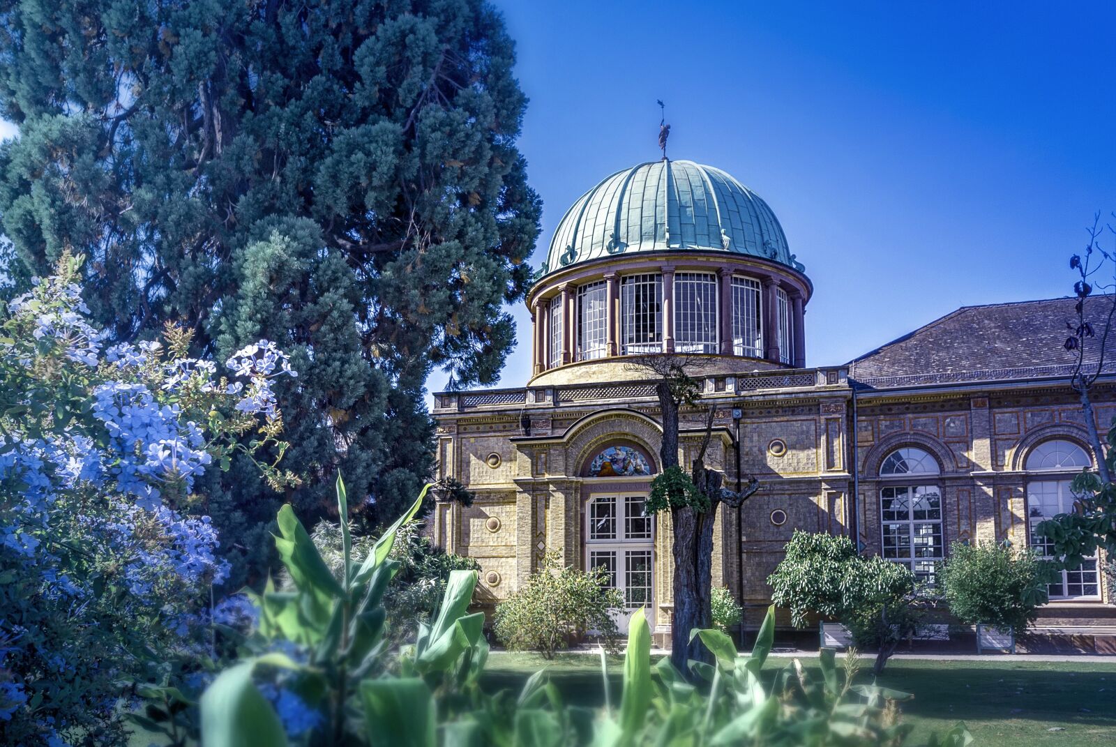 Nikon D200 sample photo. Karlsruhe, botanical garden, summer photography