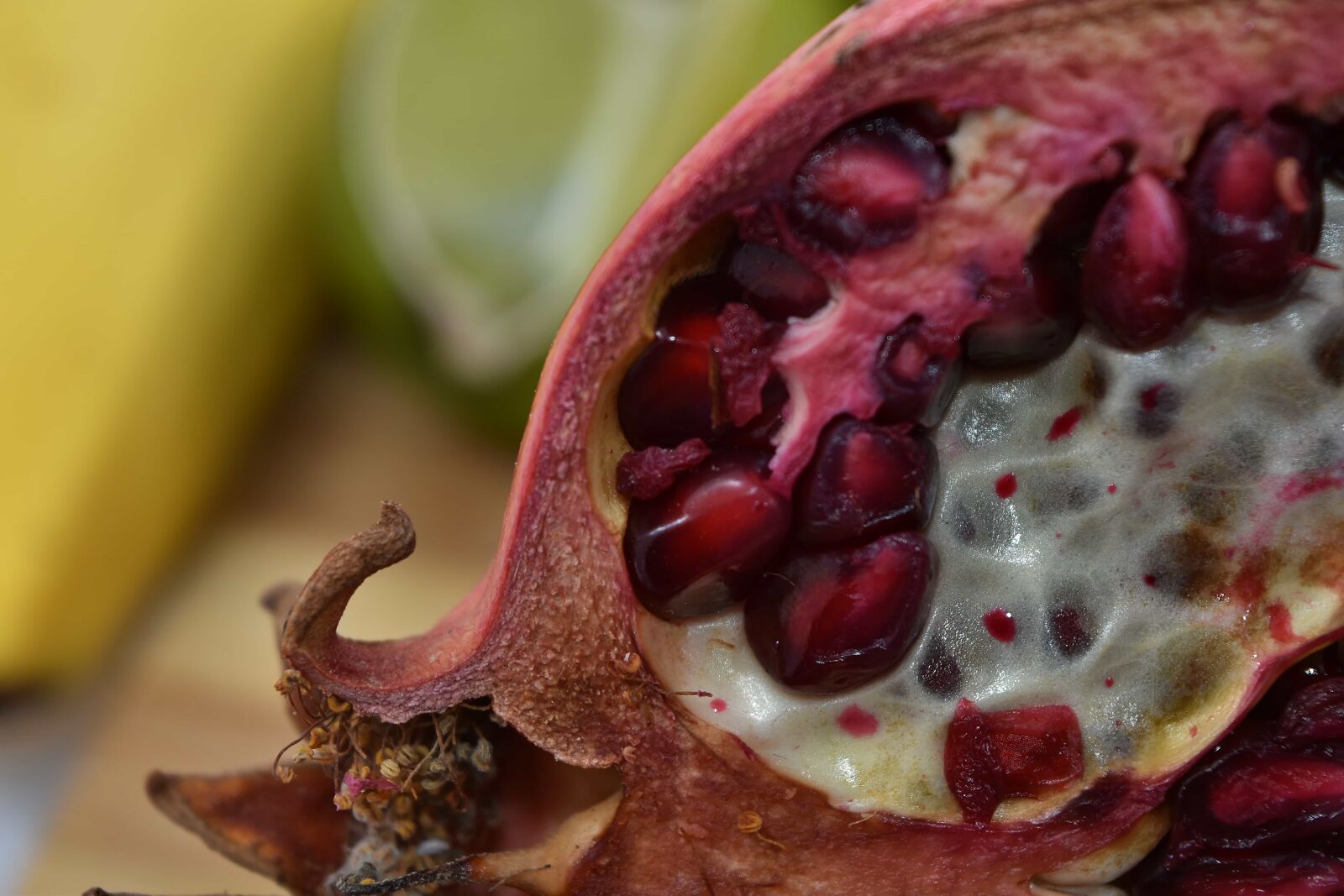 Nikon D5500 sample photo. Close-up, kernel, pomegranate, ripe photography