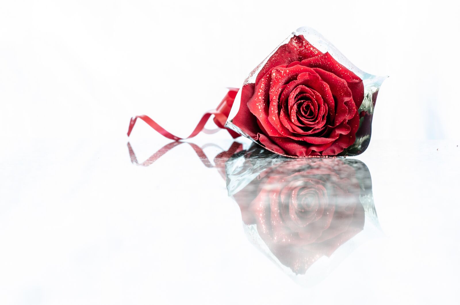 Nikon D7000 sample photo. Rosa, flowers, reflection photography