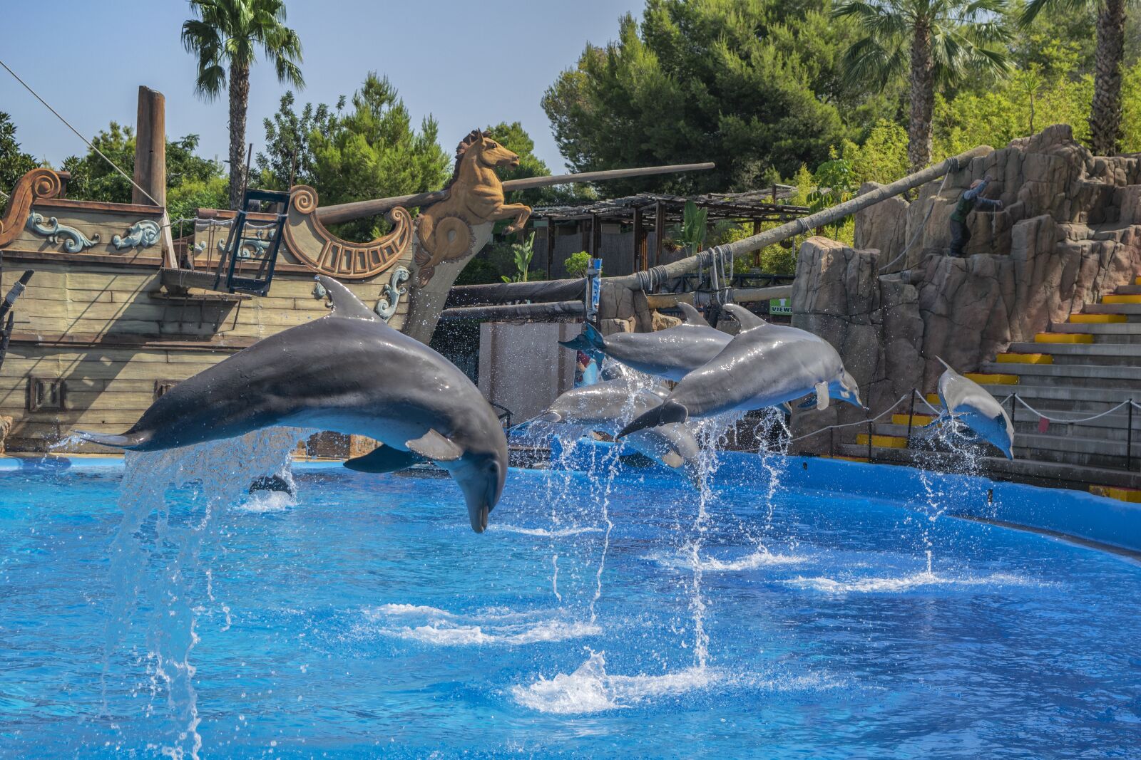 Nikon D3300 sample photo. Dolphins, water, jump photography