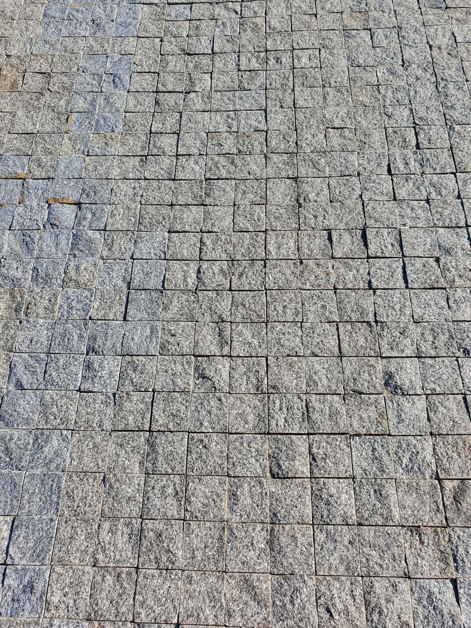 Samsung Galaxy S10 sample photo. Background, the structure of photography