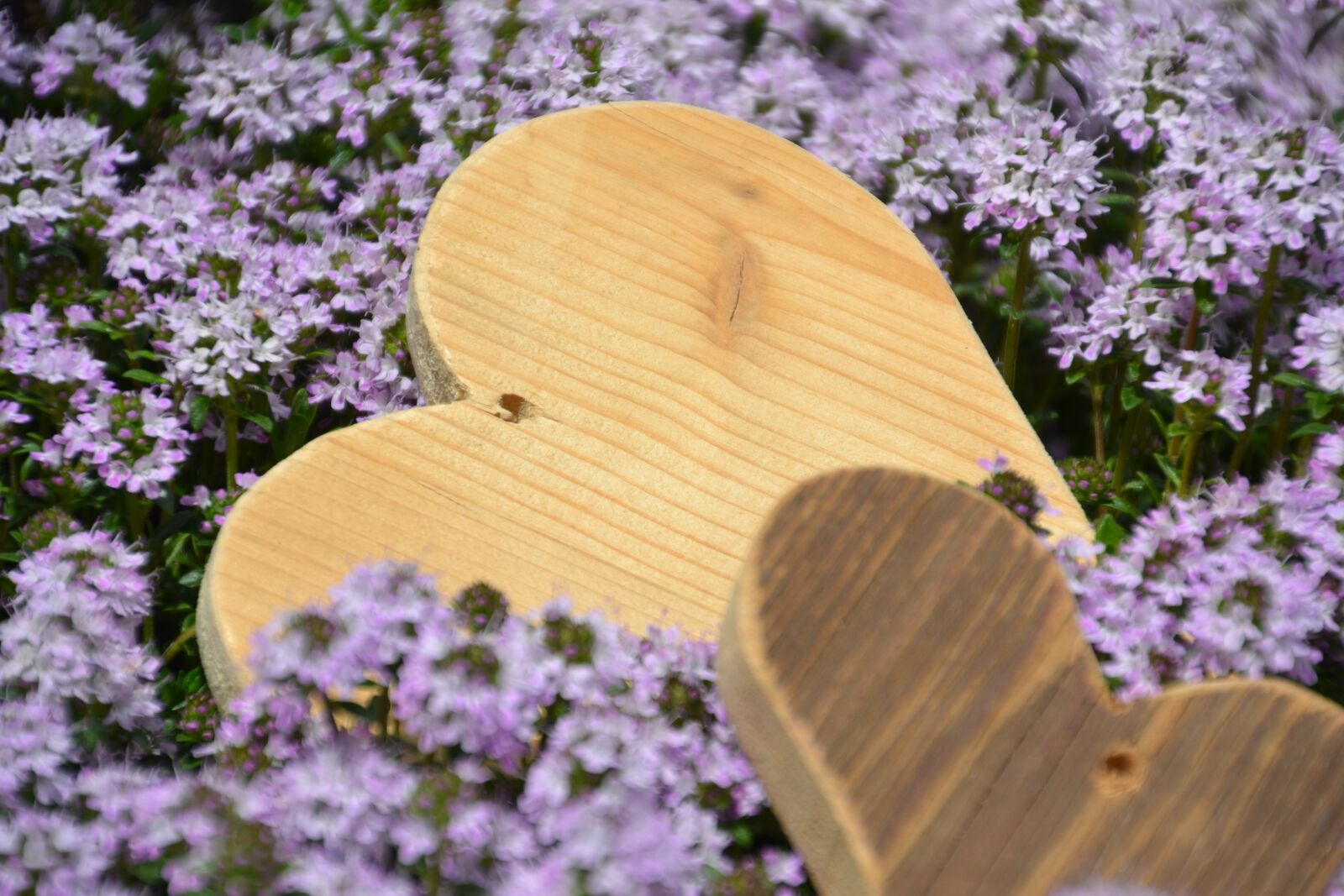 Nikon D3100 sample photo. Love, heart, mother's day photography