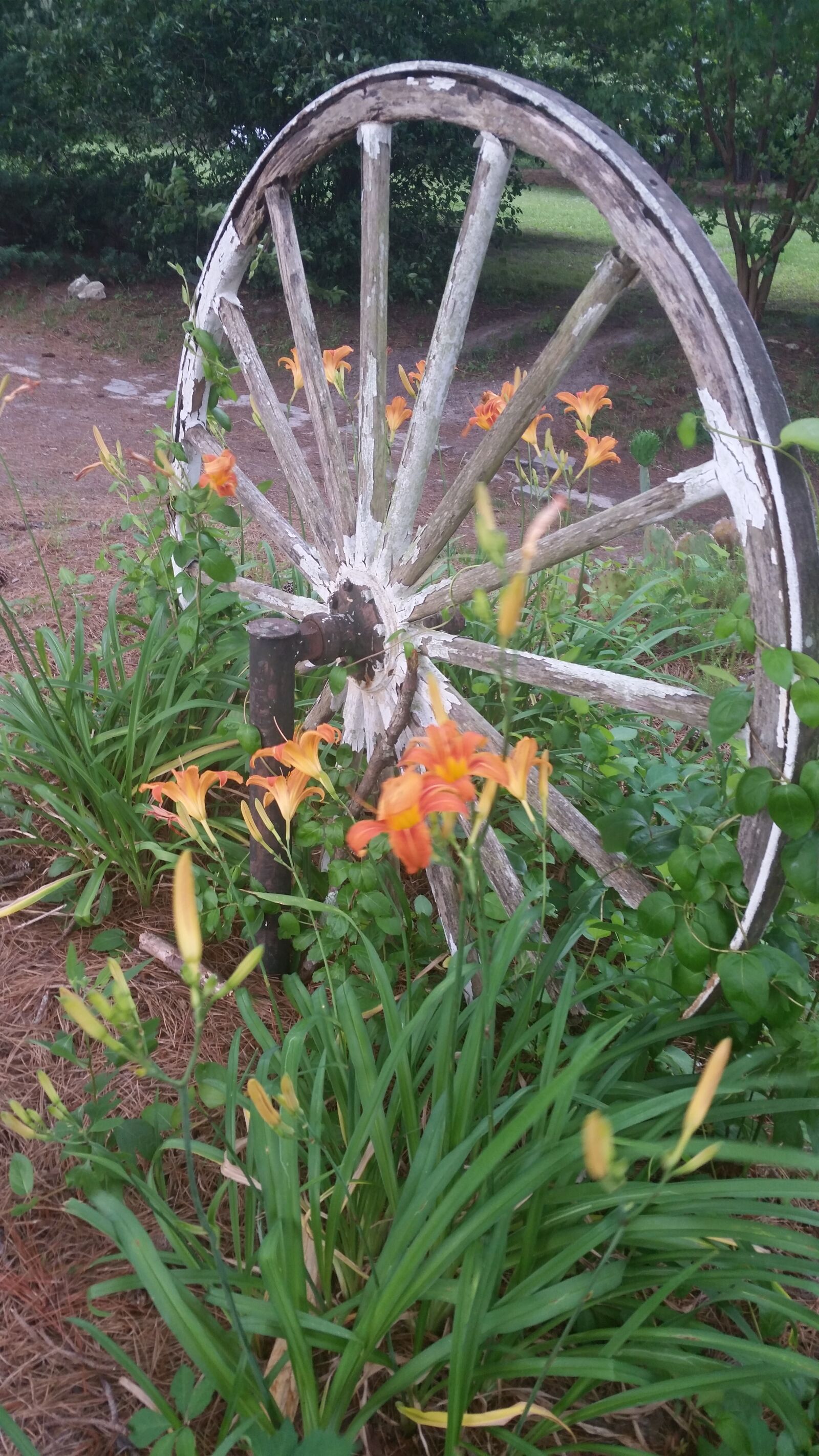 Samsung Galaxy S5 sample photo. Wheel, old, antique photography