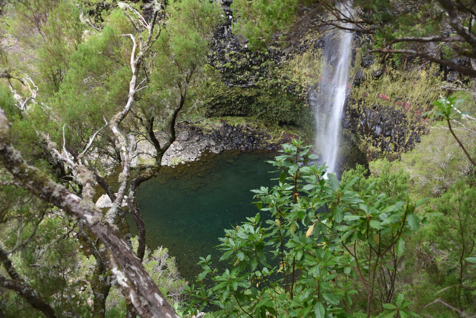 Nikon D810 sample photo. Madeira, lake, nature photography