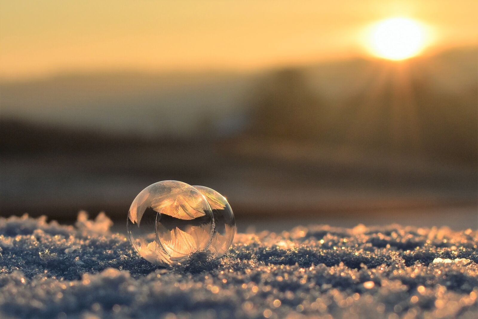 Nikon D5500 sample photo. Soap bubble, frozen, frozen photography