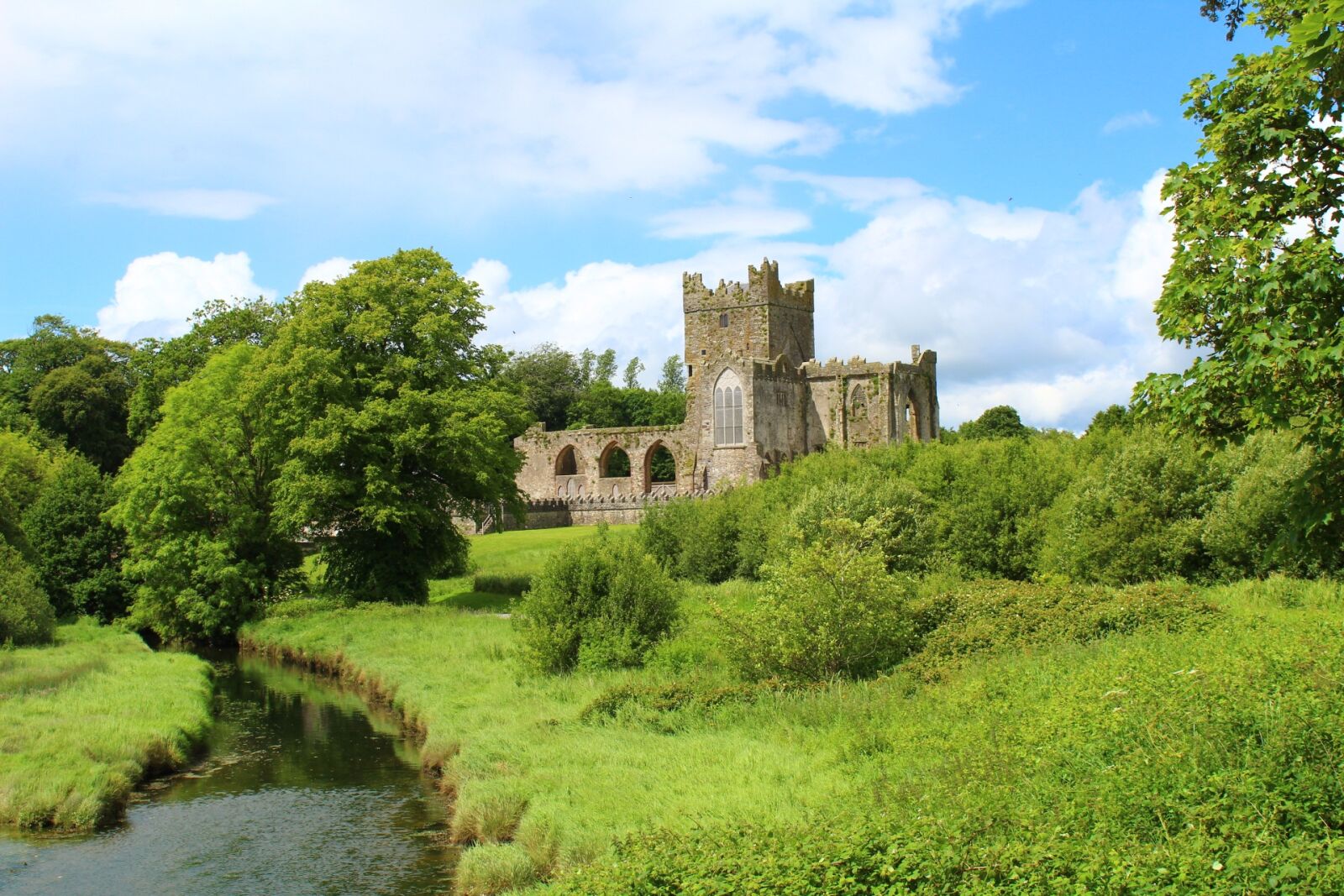 Canon EOS 1300D (EOS Rebel T6 / EOS Kiss X80) sample photo. Tintern abbey, ireland, county photography