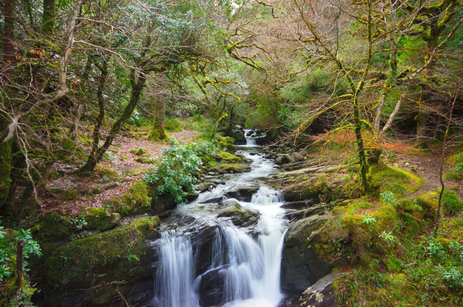 Canon EOS 600D (Rebel EOS T3i / EOS Kiss X5) sample photo. Killarney, water, kerry photography