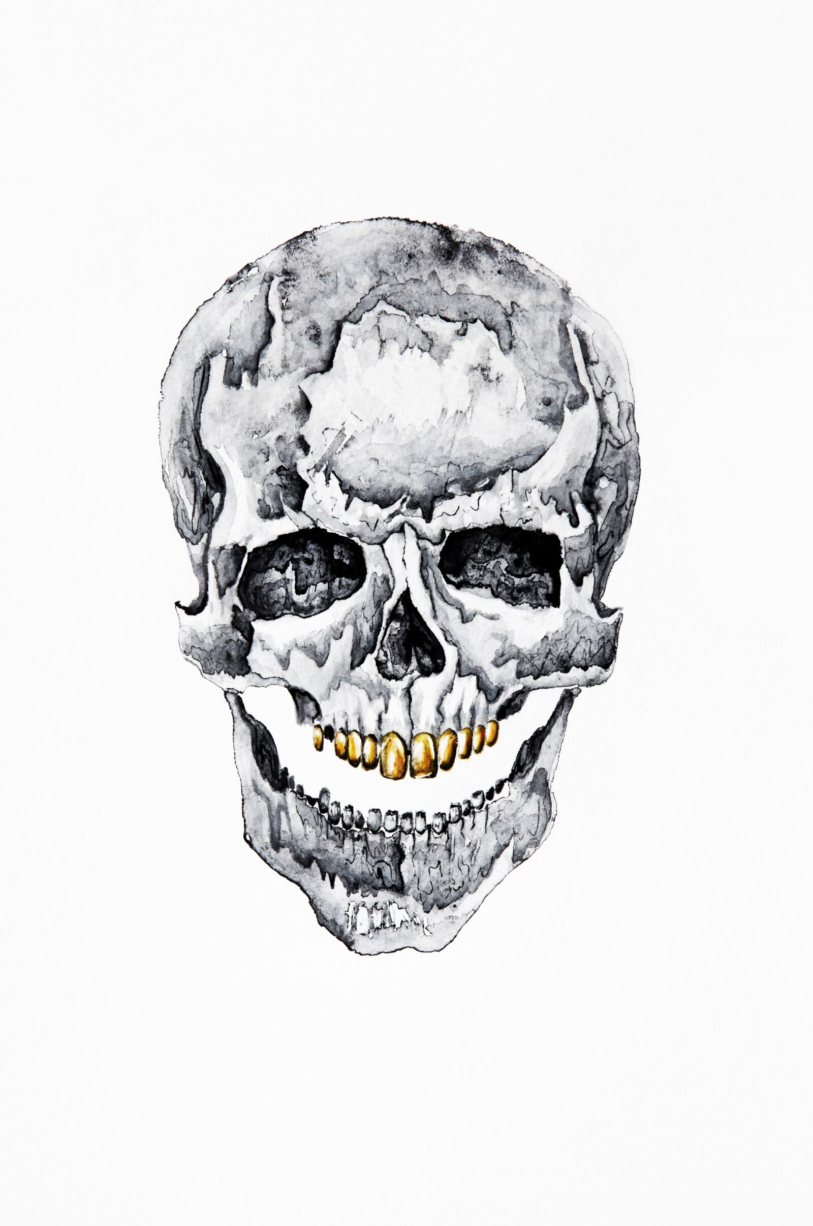 Canon EOS 5D Mark II sample photo. Funny, skull, dead photography