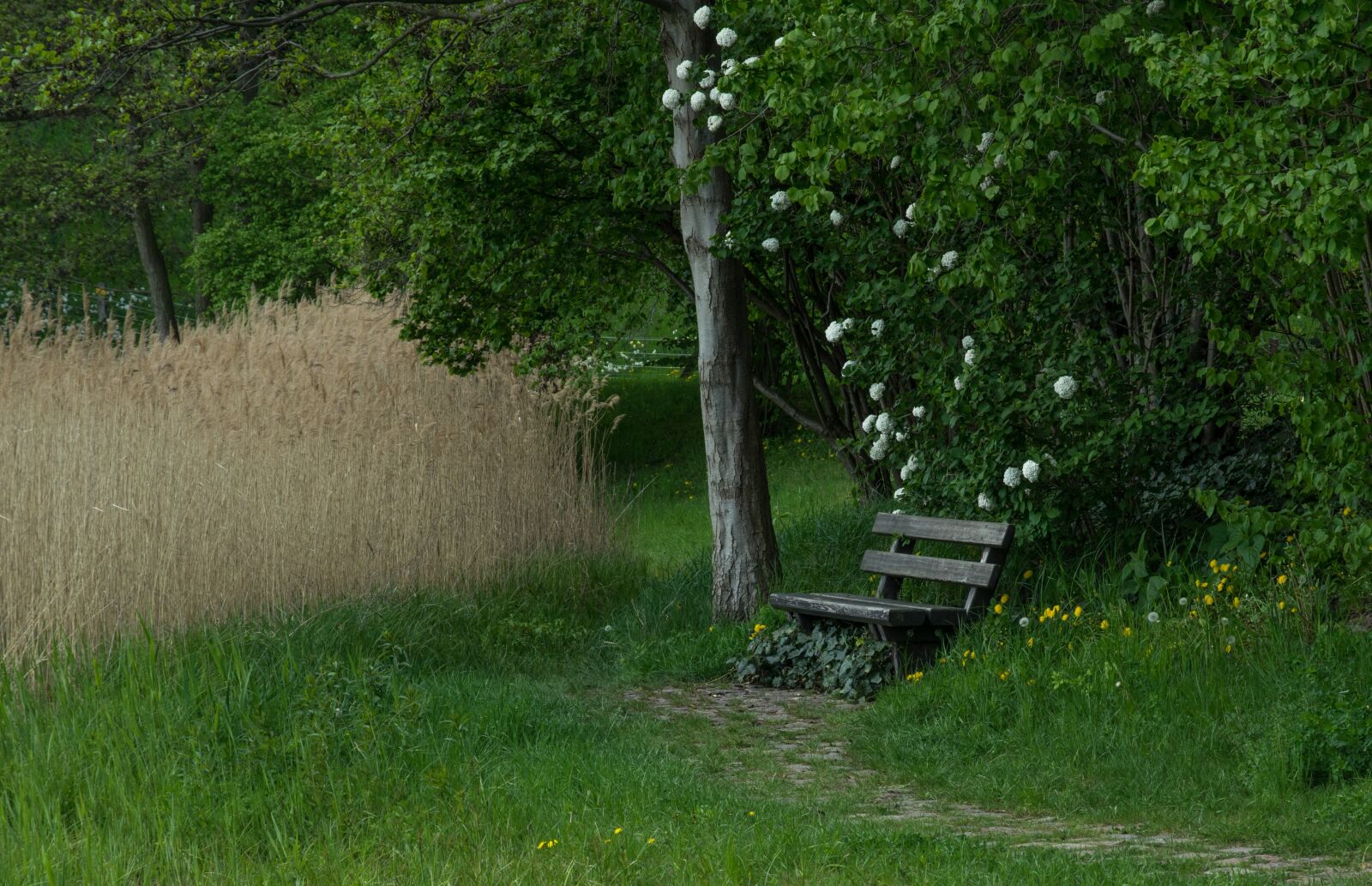 Pentax K-3 sample photo. Nature, relaxation, rest photography