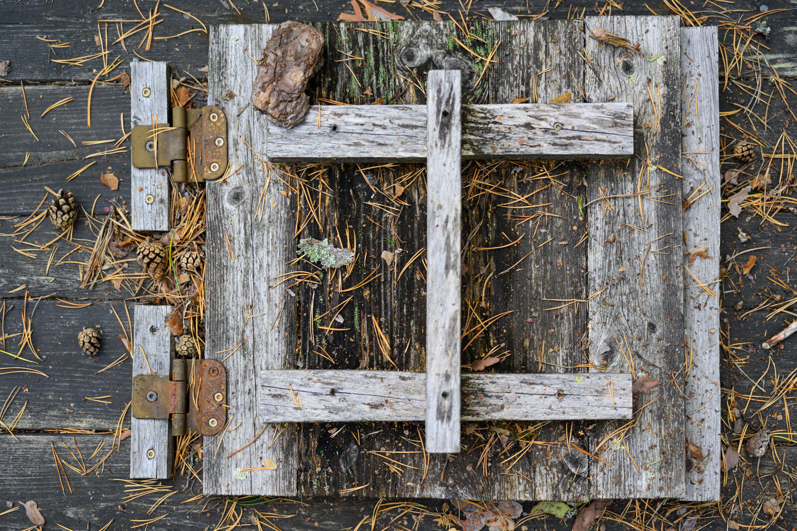 Nikon Z9 sample photo. Old well cover photography