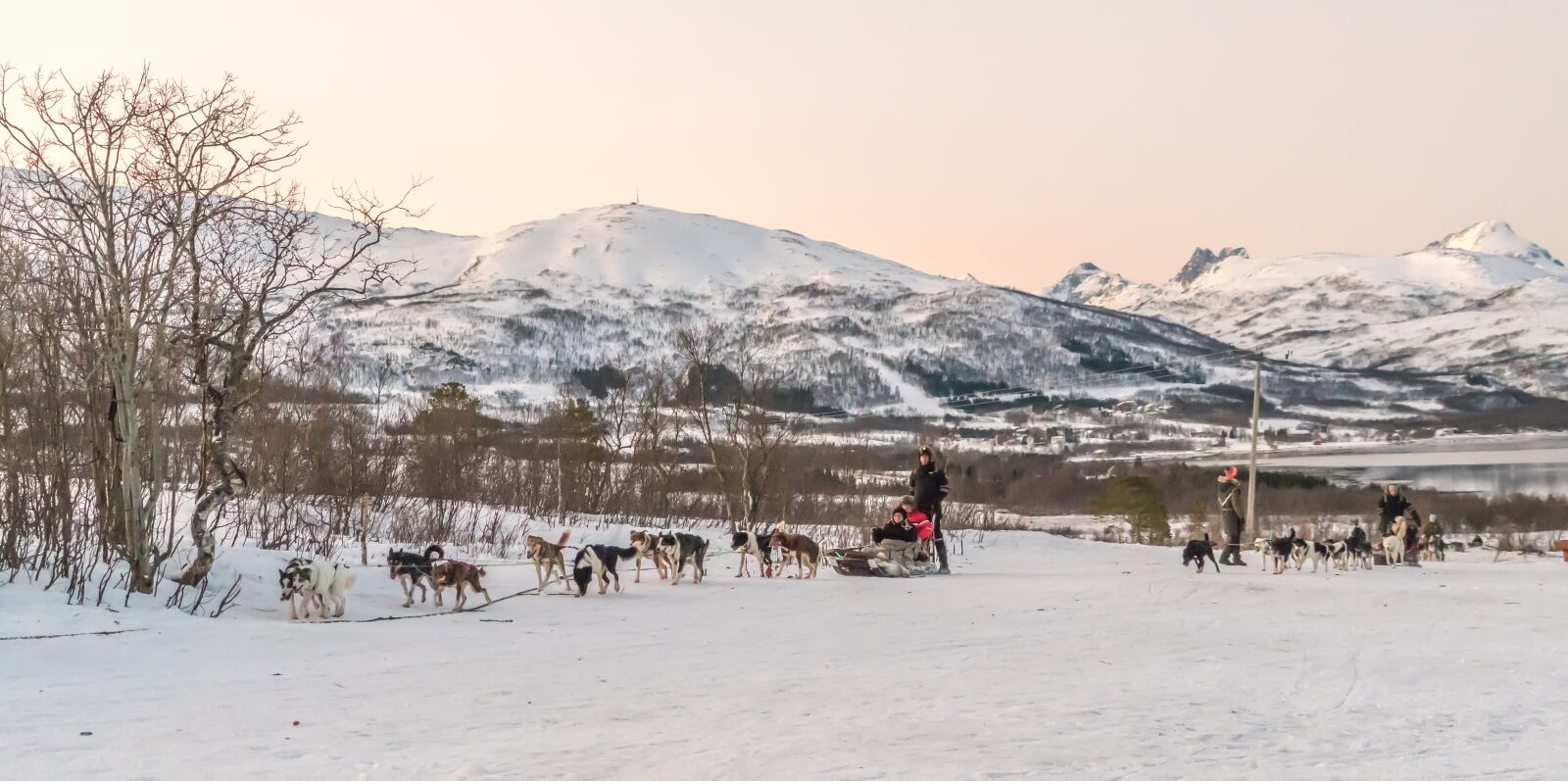 Sony a7R II + Sony FE 24-240mm F3.5-6.3 OSS sample photo. Dog sledding, kirkenes, norway photography