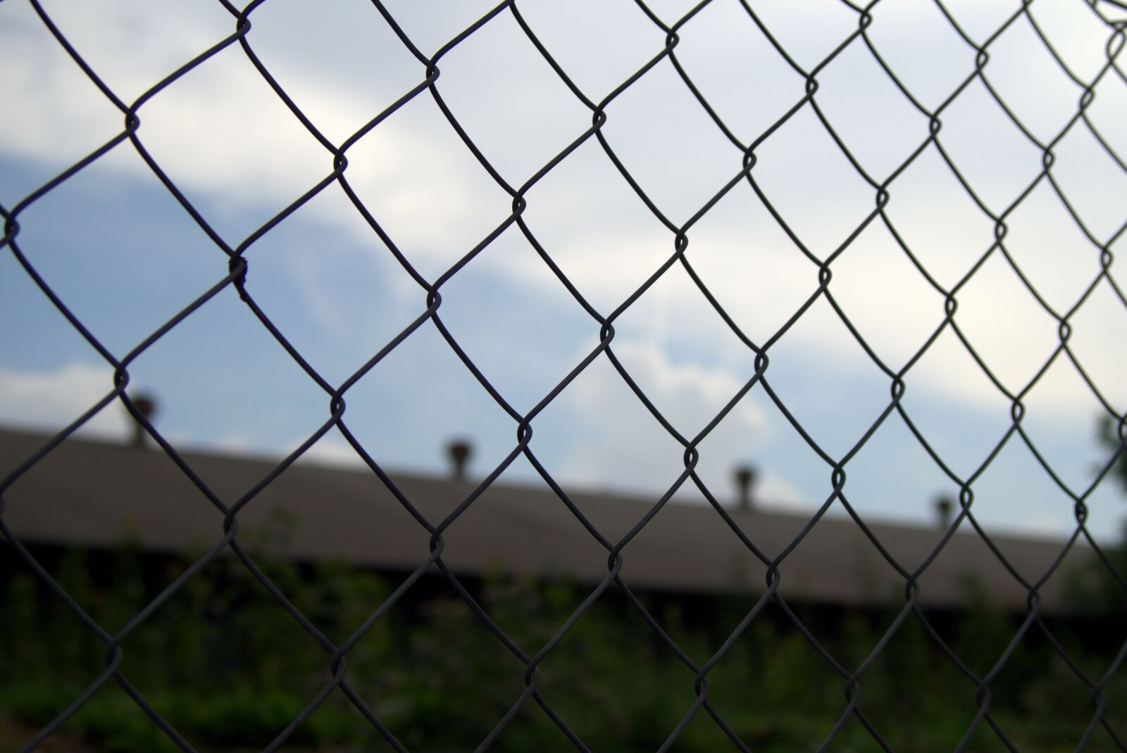 Pentax K-S2 sample photo. Gauze, the closure of photography