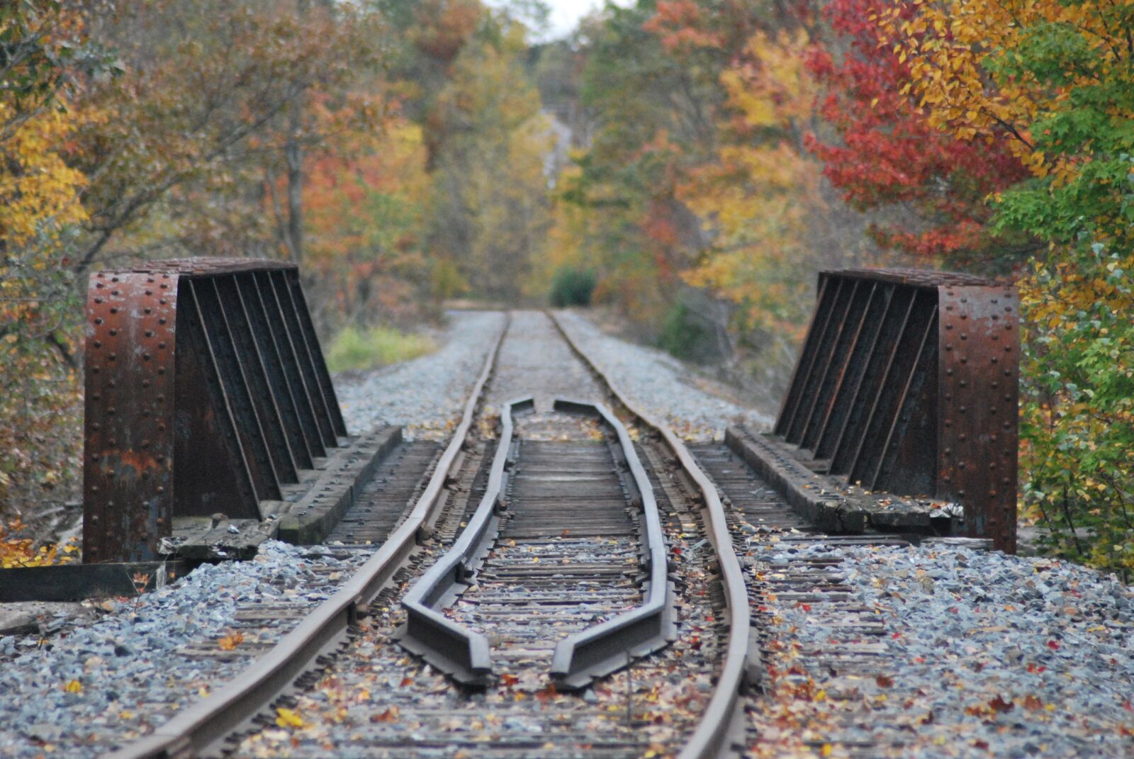 Nikon D60 sample photo. Railway, historic, railroad photography