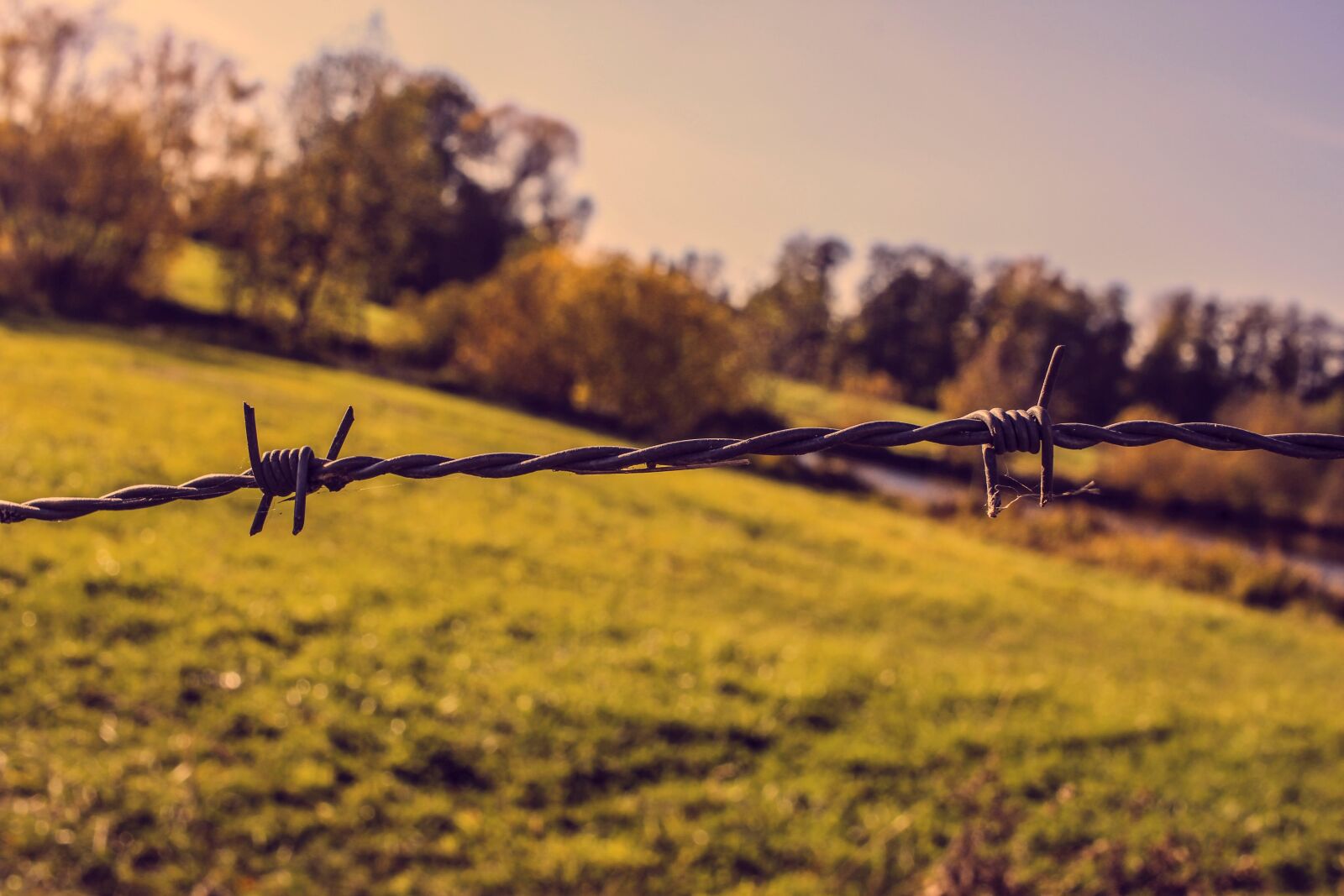 Canon EF-S 24mm F2.8 STM sample photo. Pasture fence, metal, wire photography
