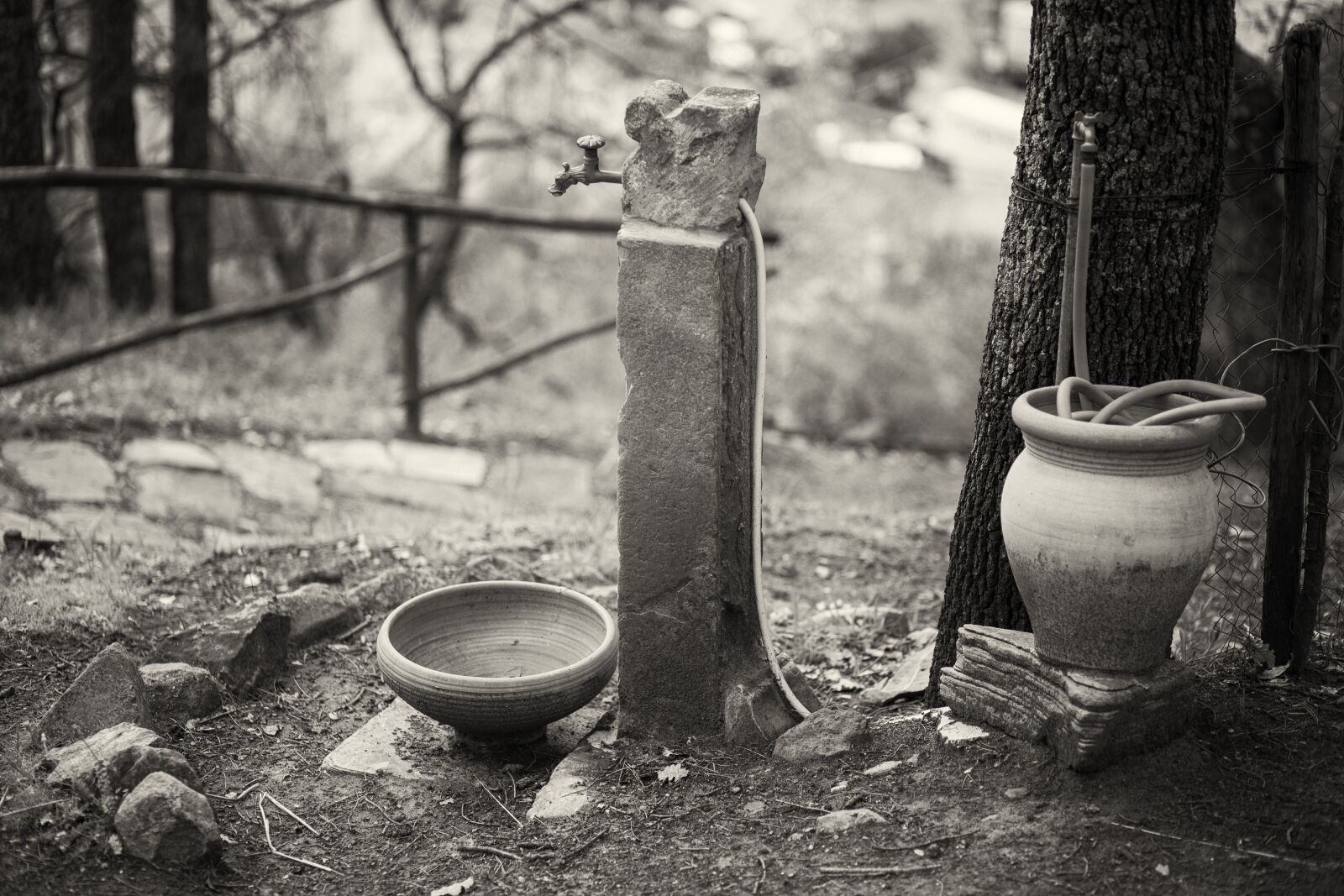 Canon EF 85mm F1.8 USM sample photo. Water, tab, sicily photography