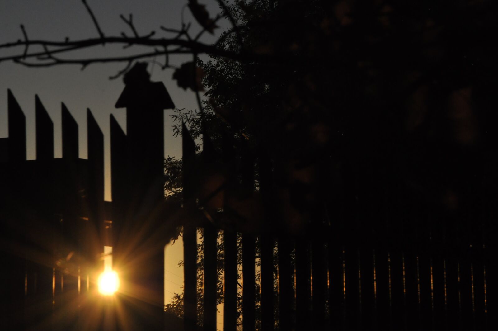 Nikon D90 sample photo. Sunset, evening, the sun photography