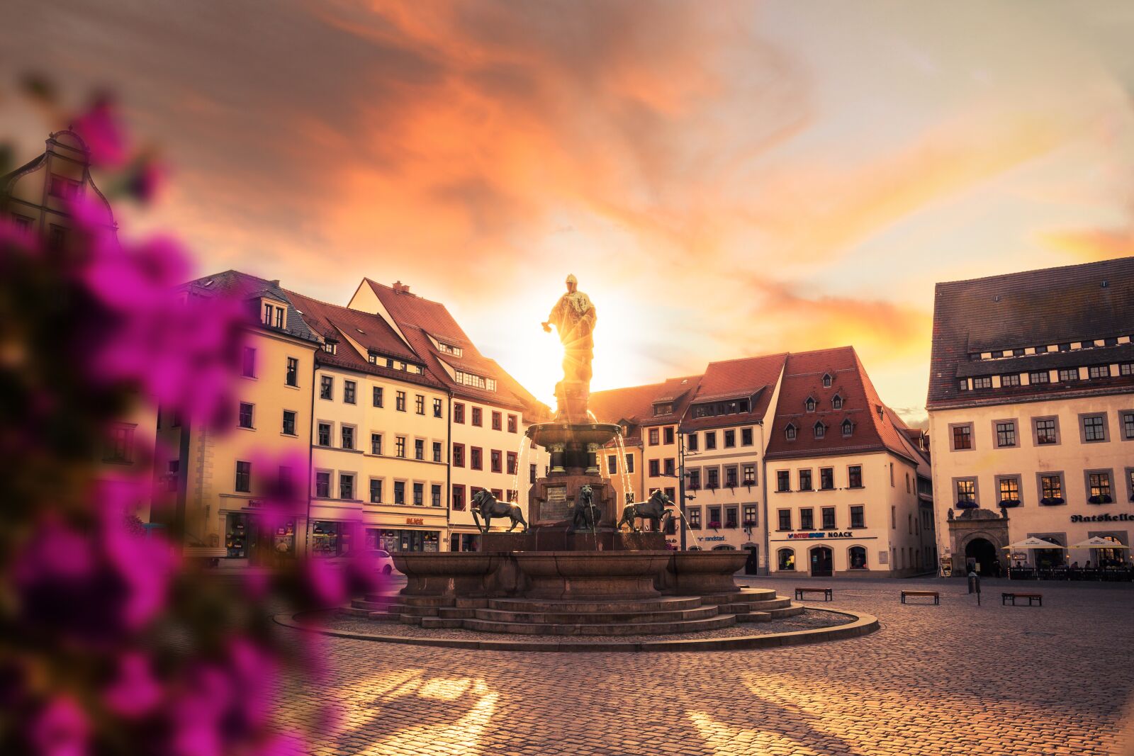 Canon EOS 750D (EOS Rebel T6i / EOS Kiss X8i) sample photo. Otto the rich, sunset photography