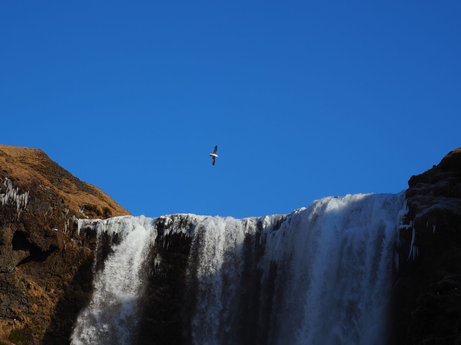 Olympus M.Zuiko Digital ED 12-100mm F4.0 IS Pro sample photo. Skogafoss, waterfall, river photography