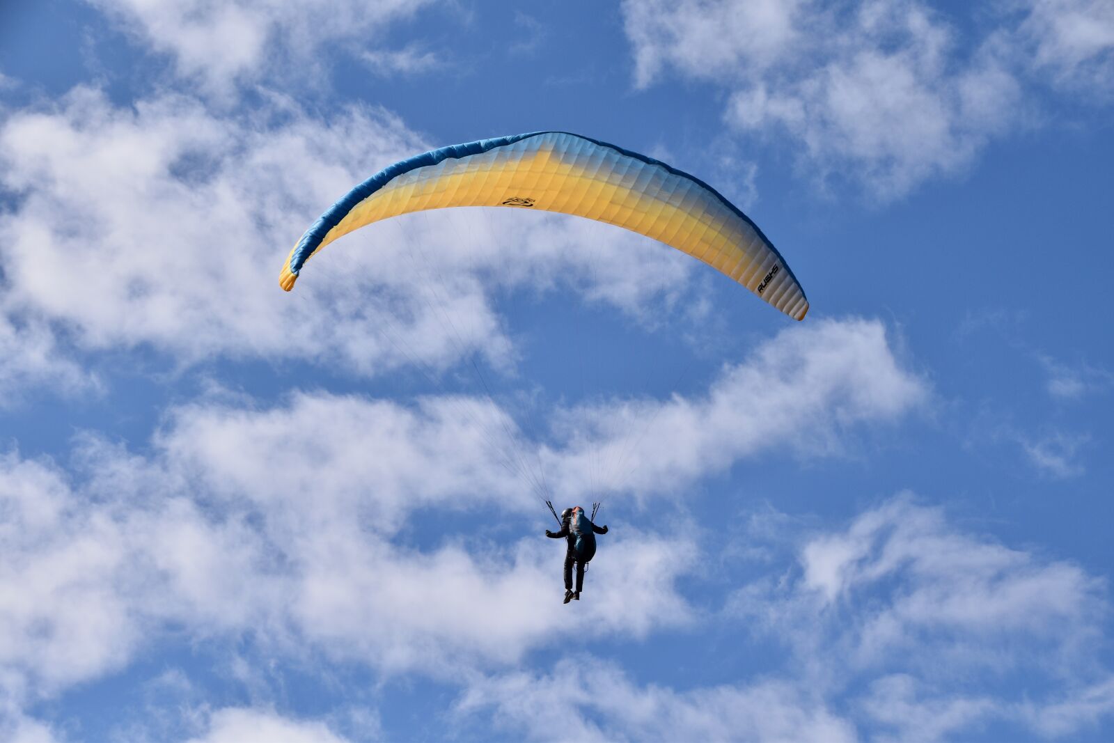 Nikon D5600 sample photo. Paragliding, paraglider, free flight photography