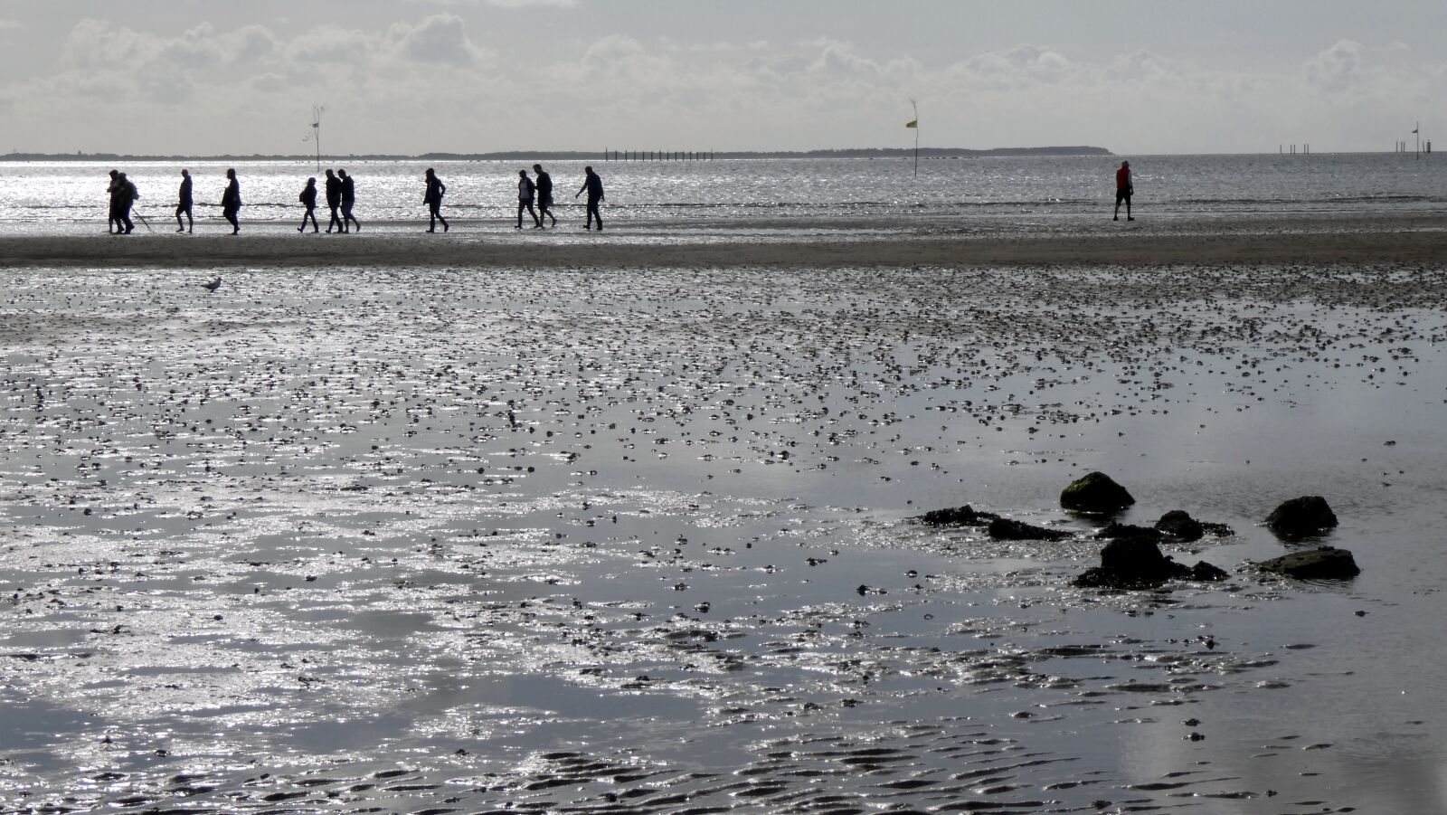 Panasonic DC-TZ91 sample photo. Wadden sea, ebb, tides photography