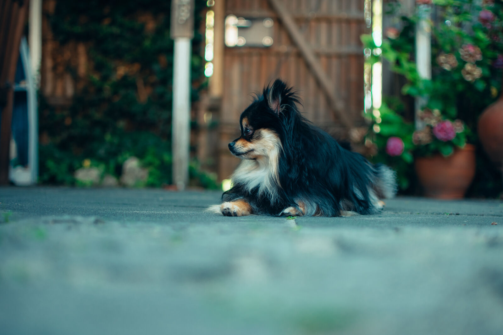 Nikon D3400 + Nikon AF-S DX Nikkor 35mm F1.8G sample photo