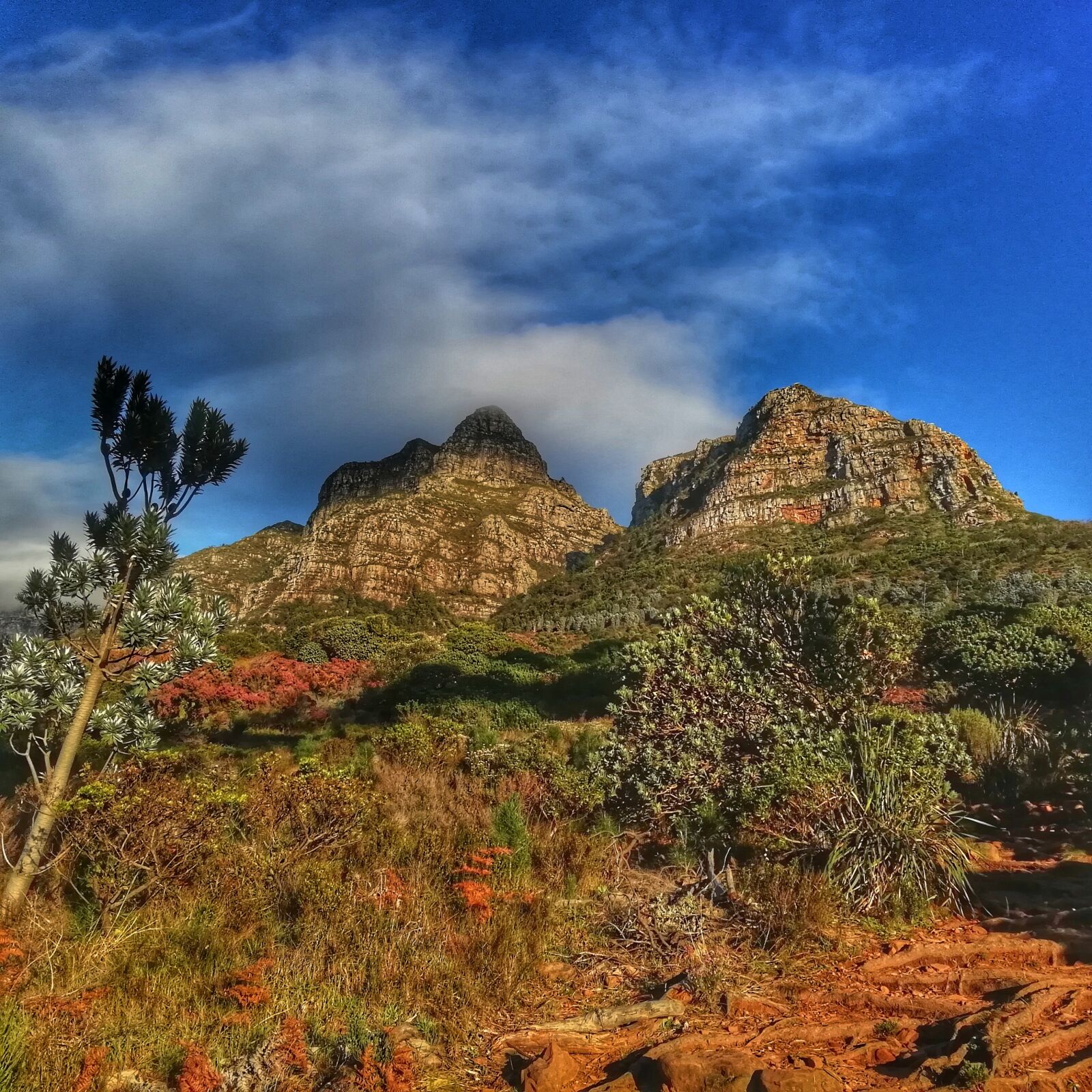 HUAWEI FIG-LX1 sample photo. Devils, peak, cape photography