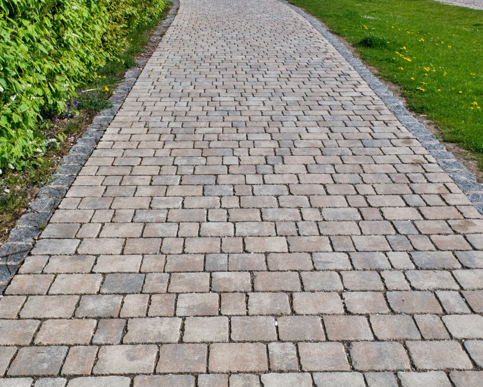 Nikon D7500 sample photo. Paving stones, away, road photography