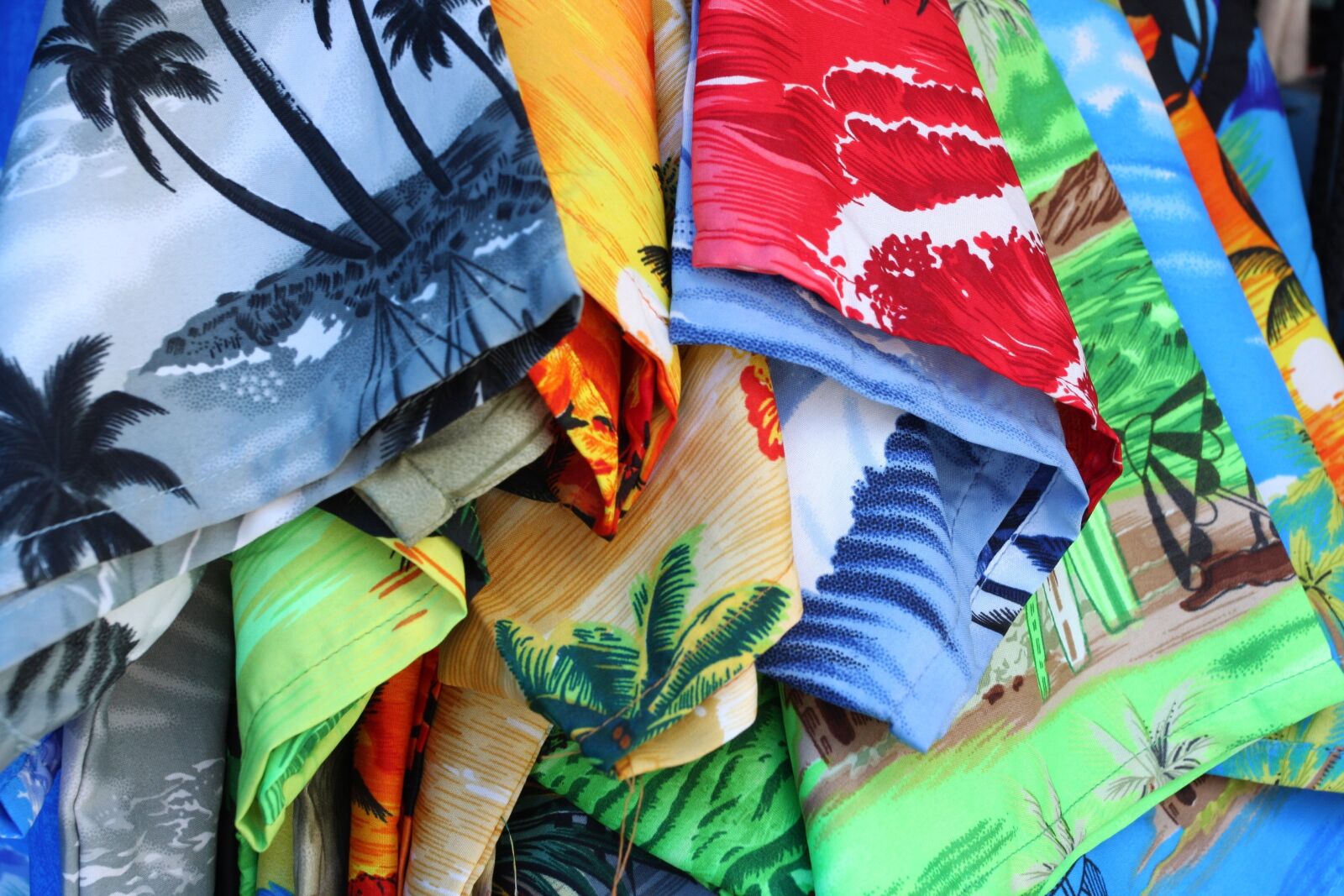 Canon EOS 40D sample photo. Shirt, trip, island photography