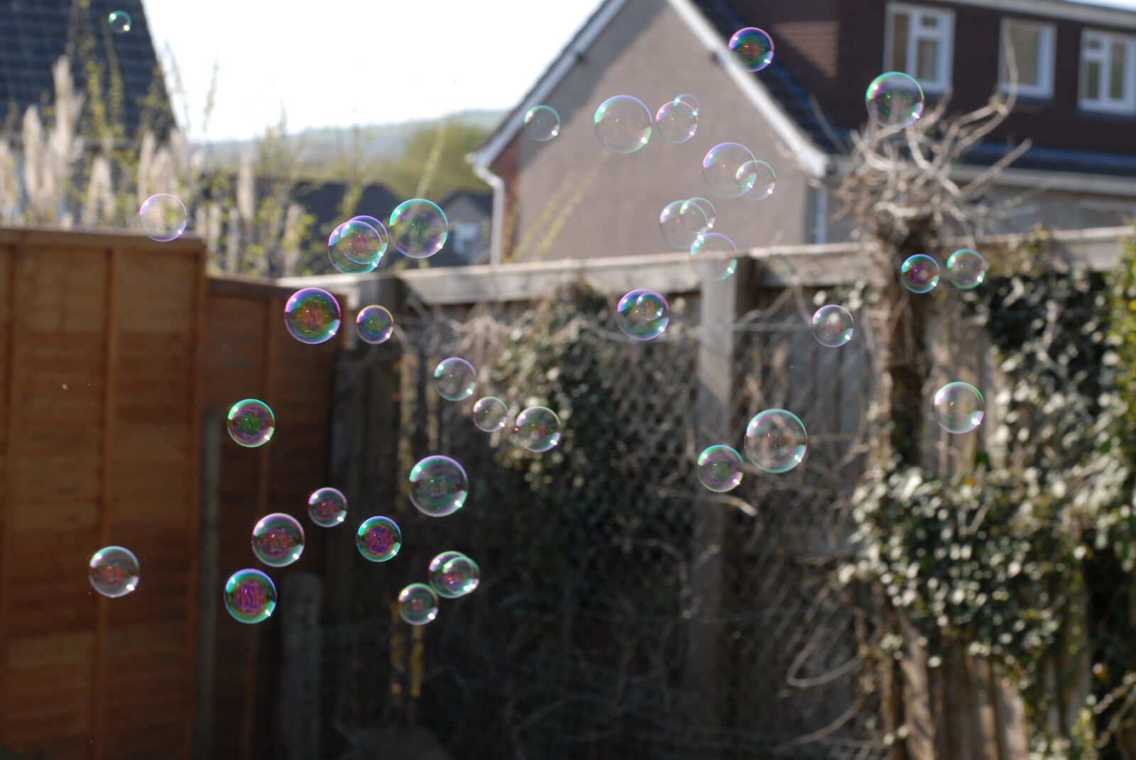 Nikon D200 sample photo. Bubbles, outside, fun photography