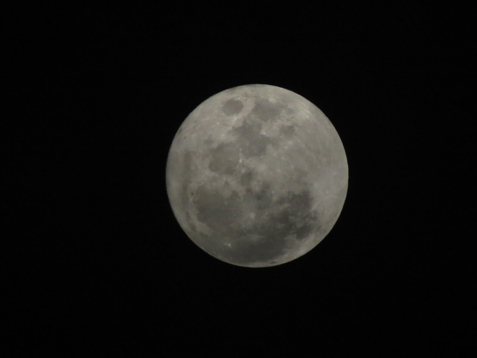 Canon PowerShot SX50 HS sample photo. Full, moon photography