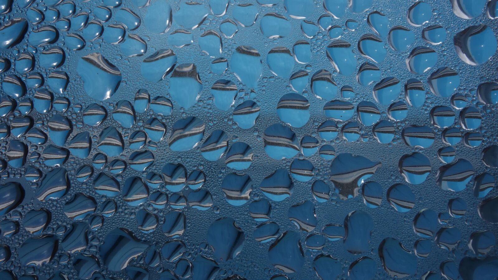 Sony Cyber-shot DSC-RX100 II sample photo. Drop of water, condensation photography