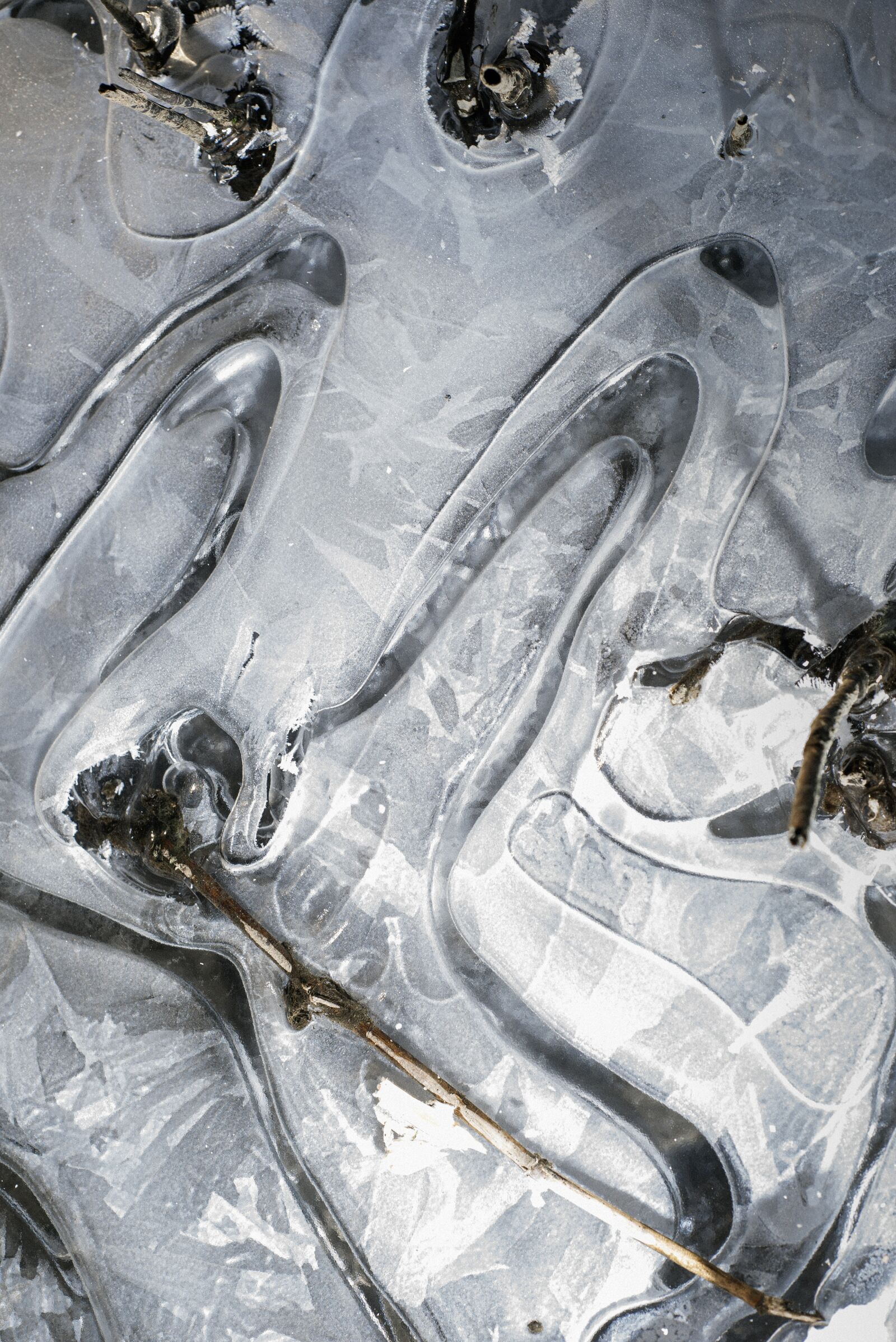 Nikon D610 sample photo. Ice, snow, cold photography