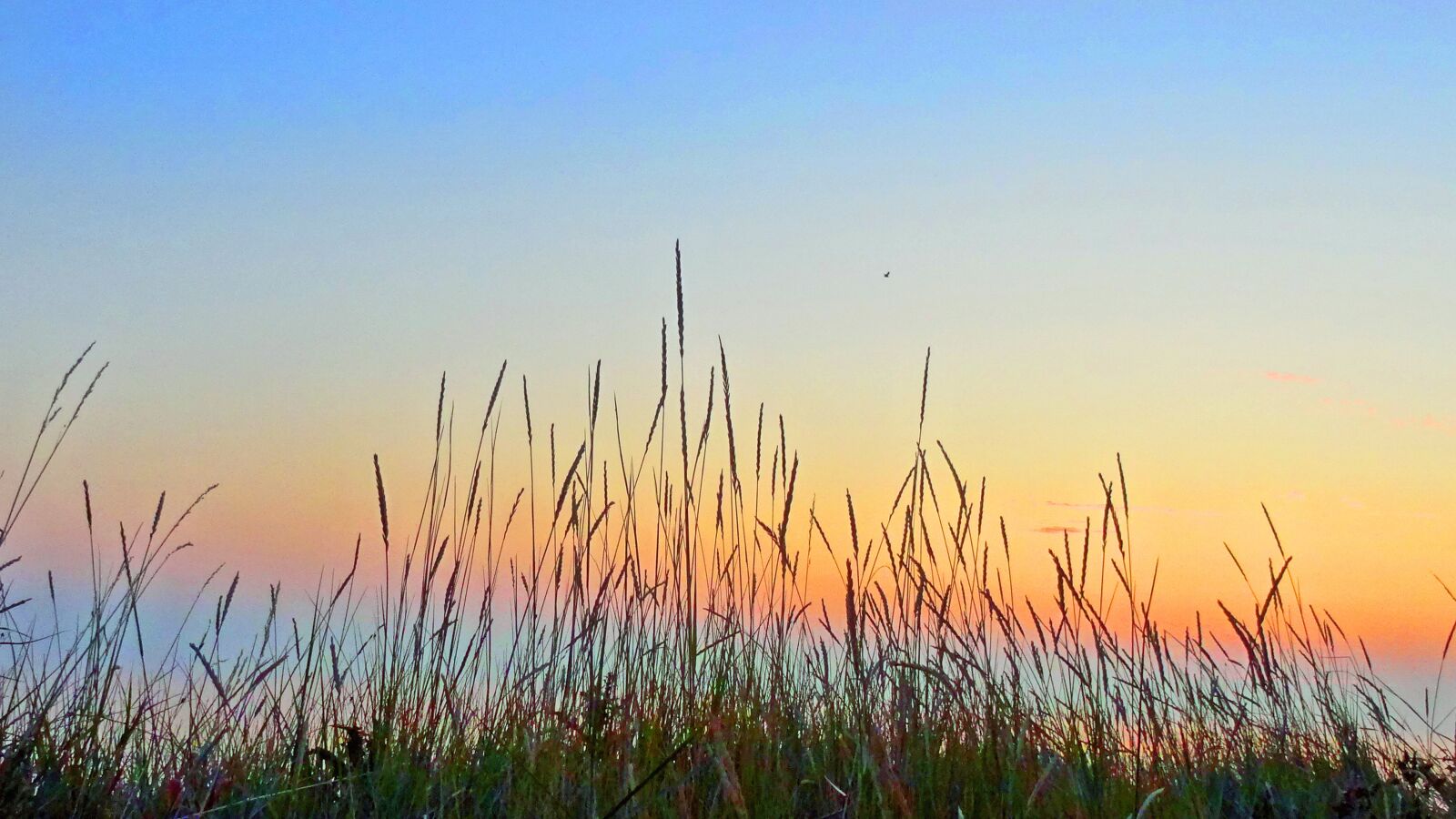 Sony DSC-HX50 sample photo. Dawn, sunrise, sea photography