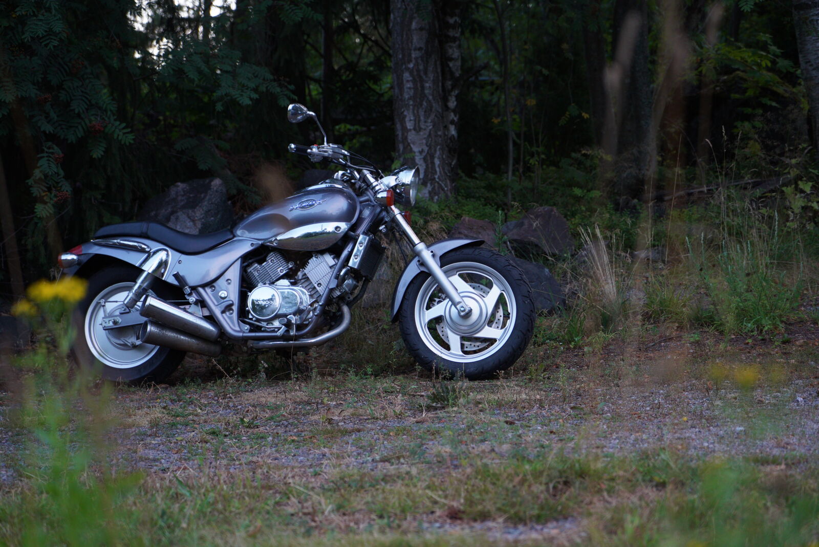 Sony Vario Tessar T* FE 24-70mm F4 ZA OSS sample photo. Motorcycle in the woods photography