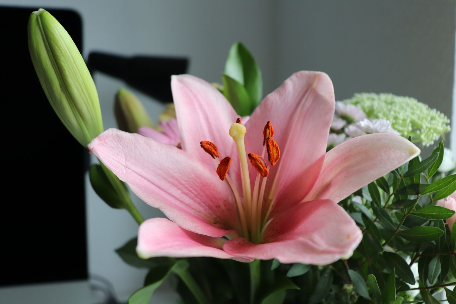 Canon EOS 200D (EOS Rebel SL2 / EOS Kiss X9) sample photo. Flowers, summer, nature photography