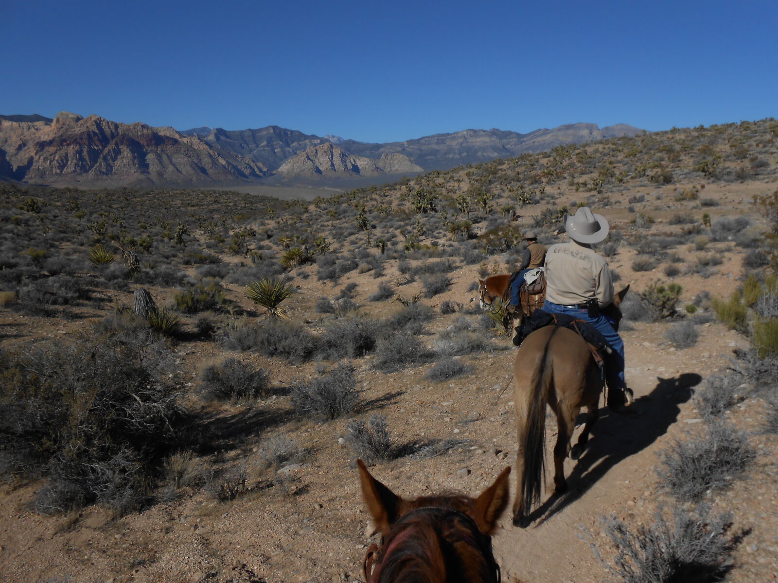Nikon Coolpix S4300 sample photo. Desert, horseback, riding photography