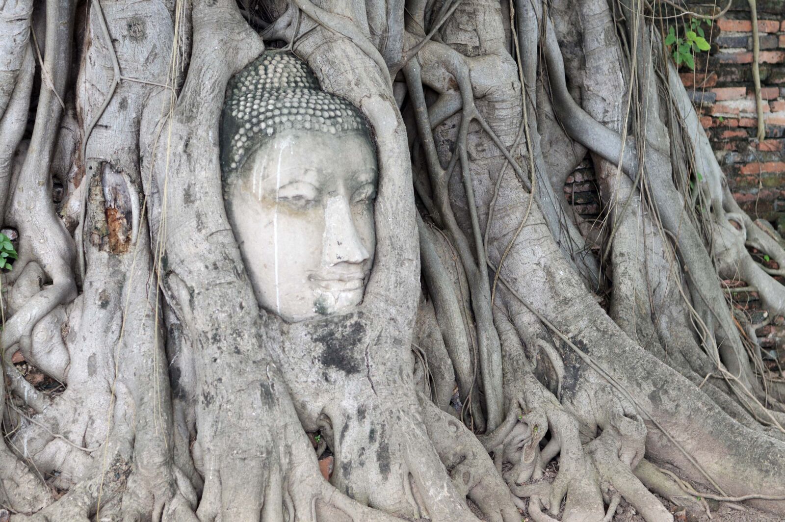 Nikon D3200 sample photo. Thailand, buddha statues, archaeological photography