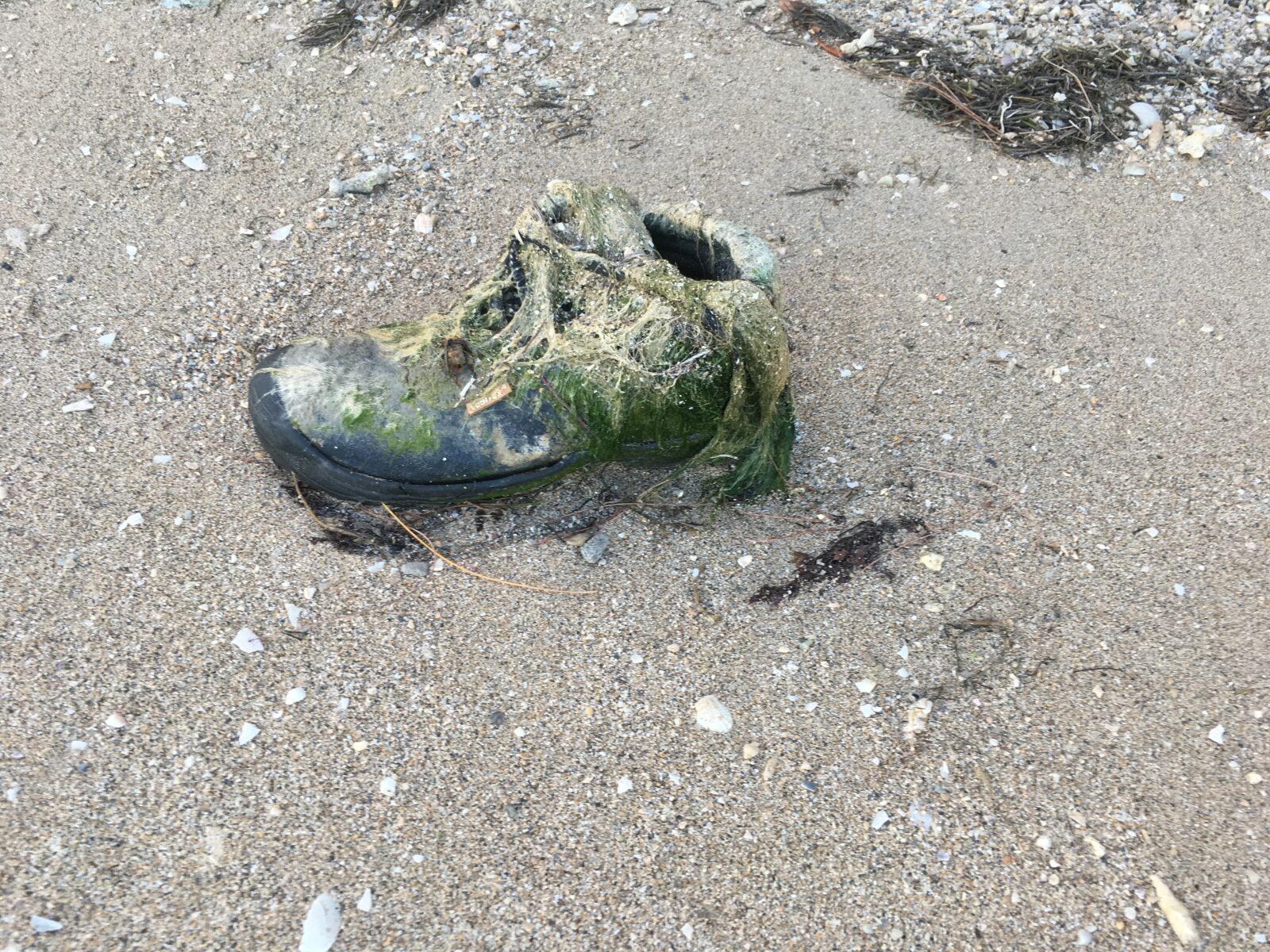 iPhone SE back camera 4.15mm f/2.2 sample photo. Old boot, sand, seaweed photography