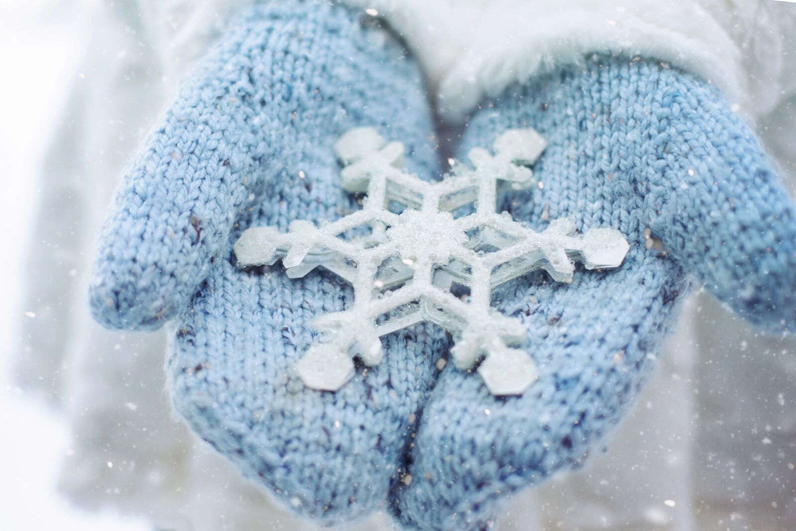 Canon EF 50mm F1.4 USM sample photo. Snow, winter, mittens photography