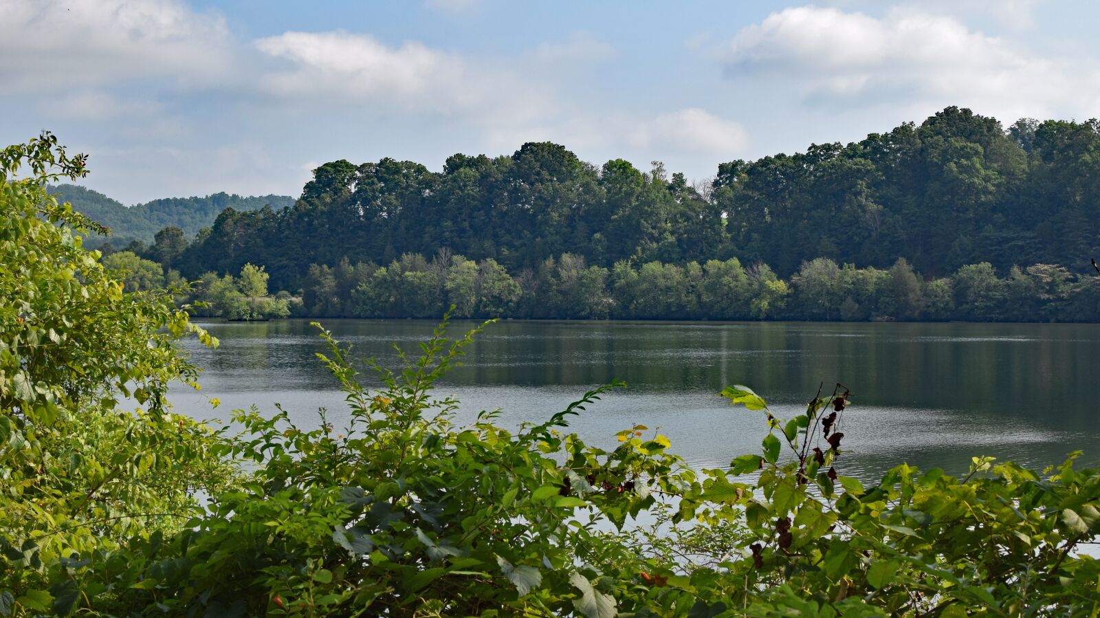 Nikon D3300 sample photo. Melton lake on hazy photography