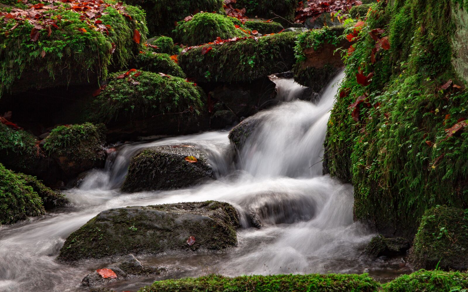 Canon EOS 700D (EOS Rebel T5i / EOS Kiss X7i) sample photo. Teutoburg forest, silver valley photography