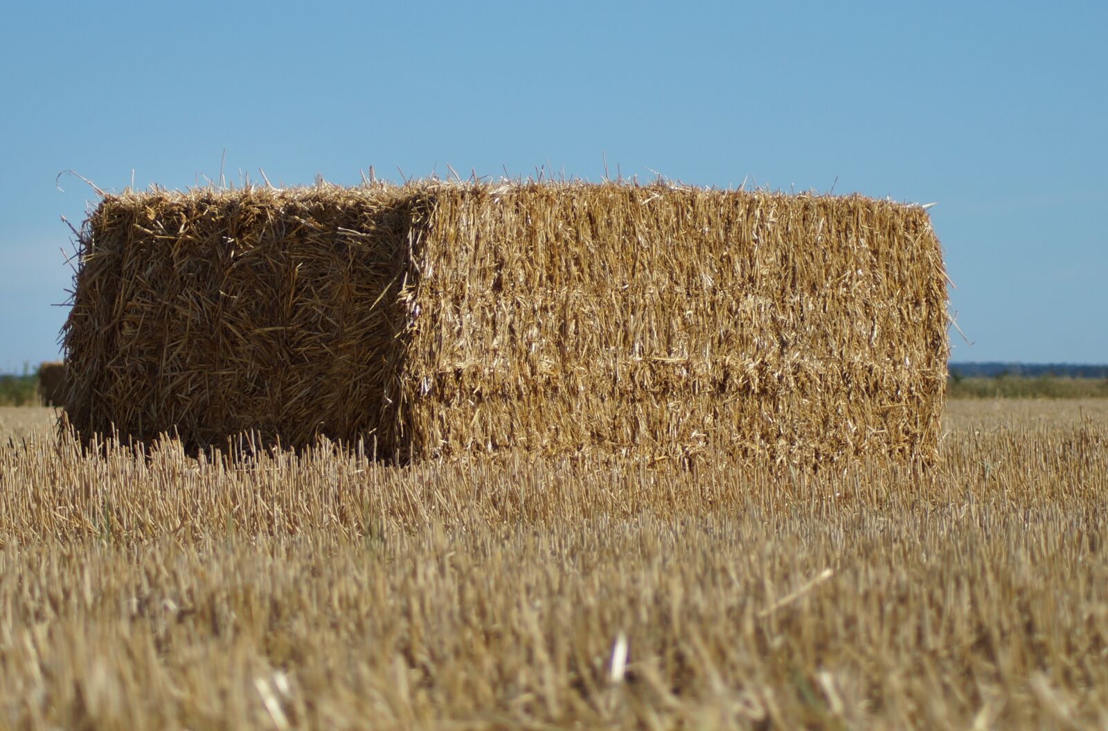 Sony SLT-A57 sample photo. Straw bales, square, pressed photography