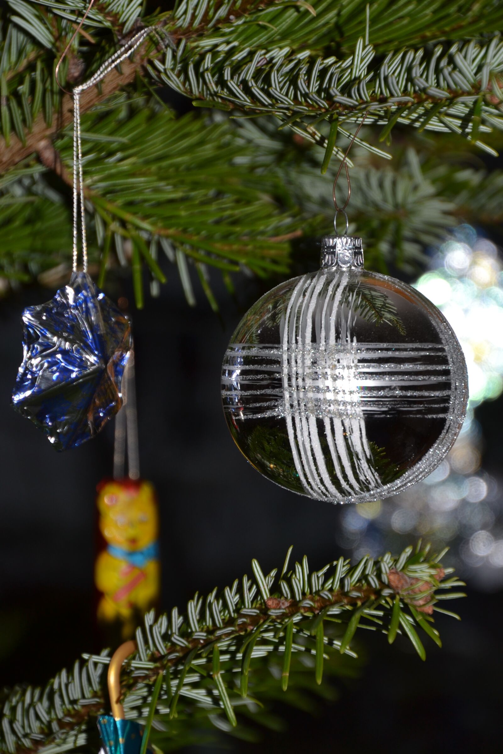 Nikon D3100 sample photo. Christmas bauble, star, poinsettia photography