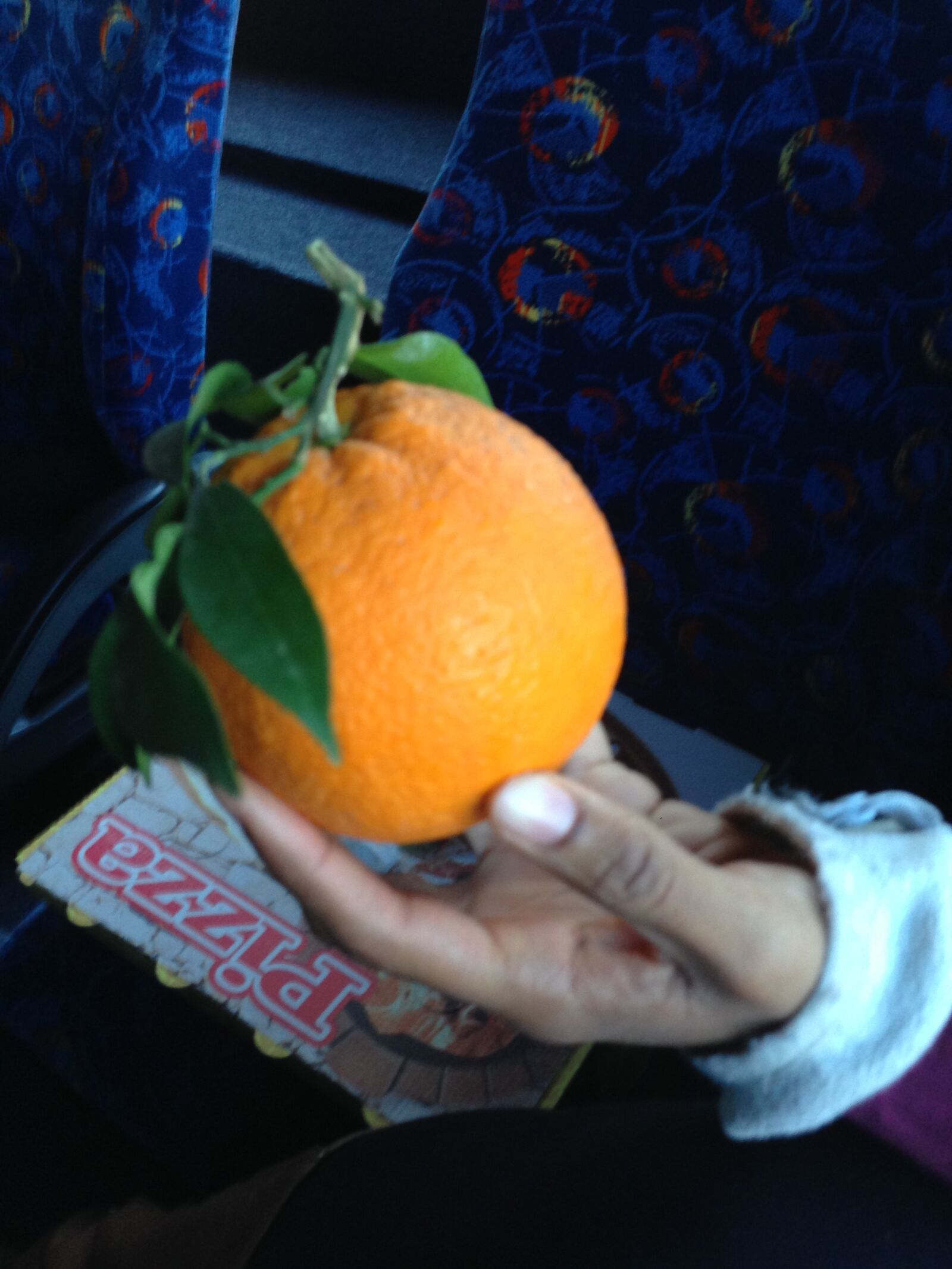 iPhone 5 back camera 4.12mm f/2.4 sample photo. Perfect, orange, fruit photography