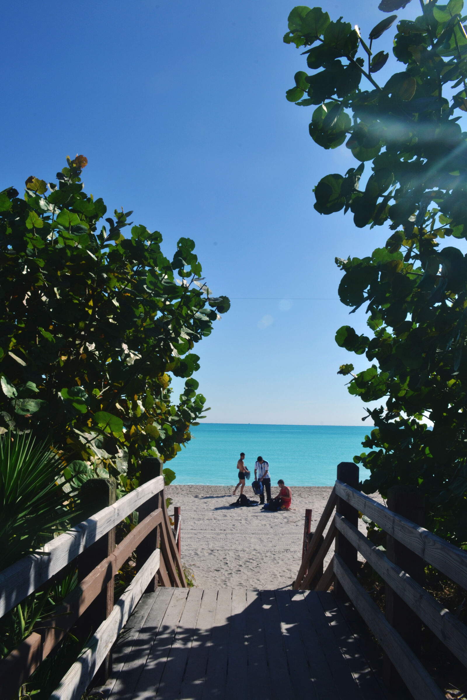Nikon D3100 sample photo