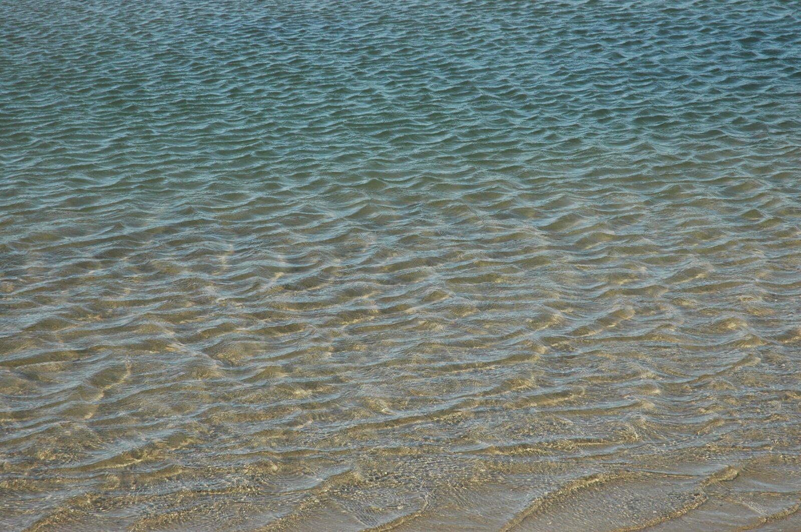 Nikon D70 sample photo. Beach, salt water, river photography