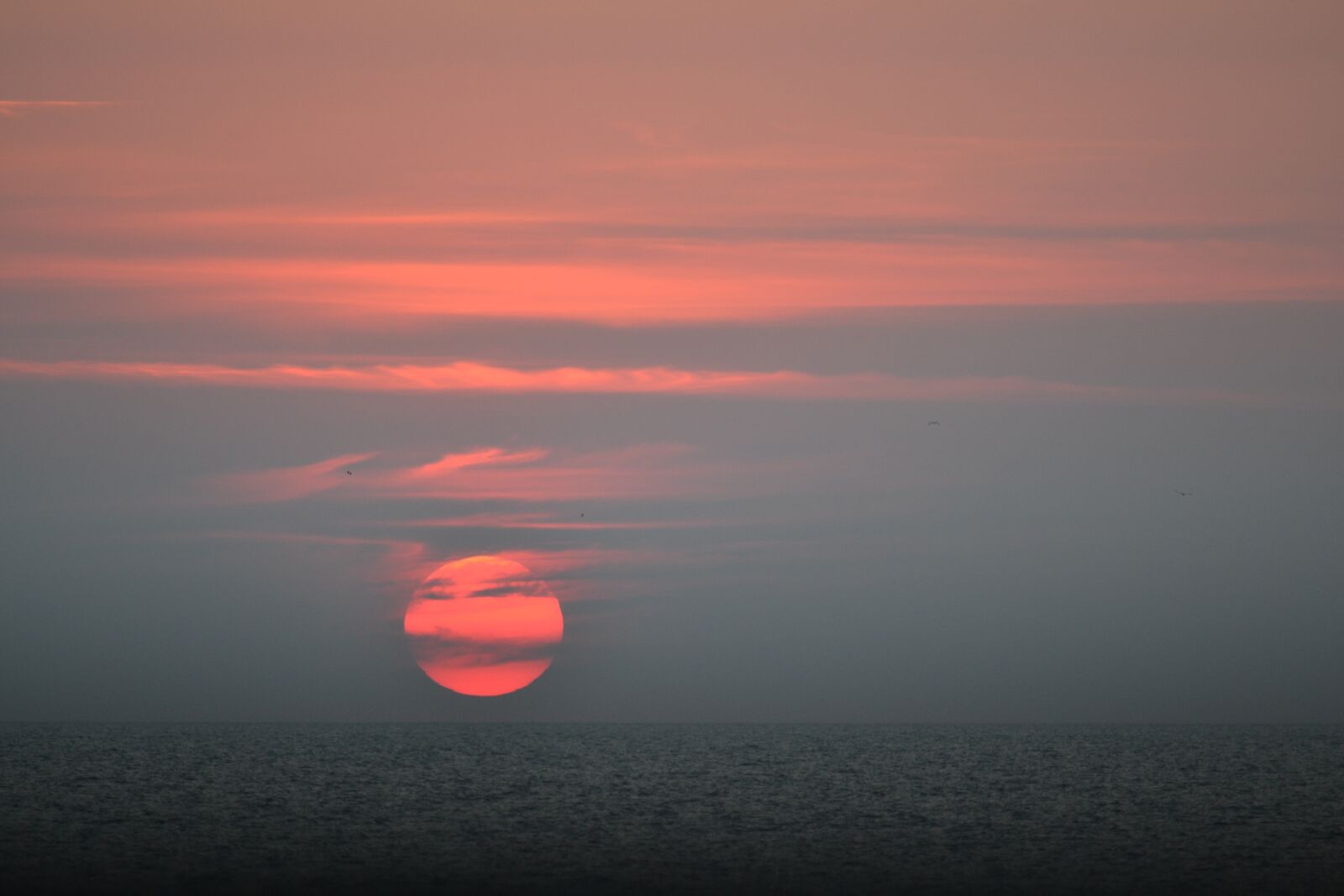 Nikon D3100 sample photo. Sunset, sol, sky photography